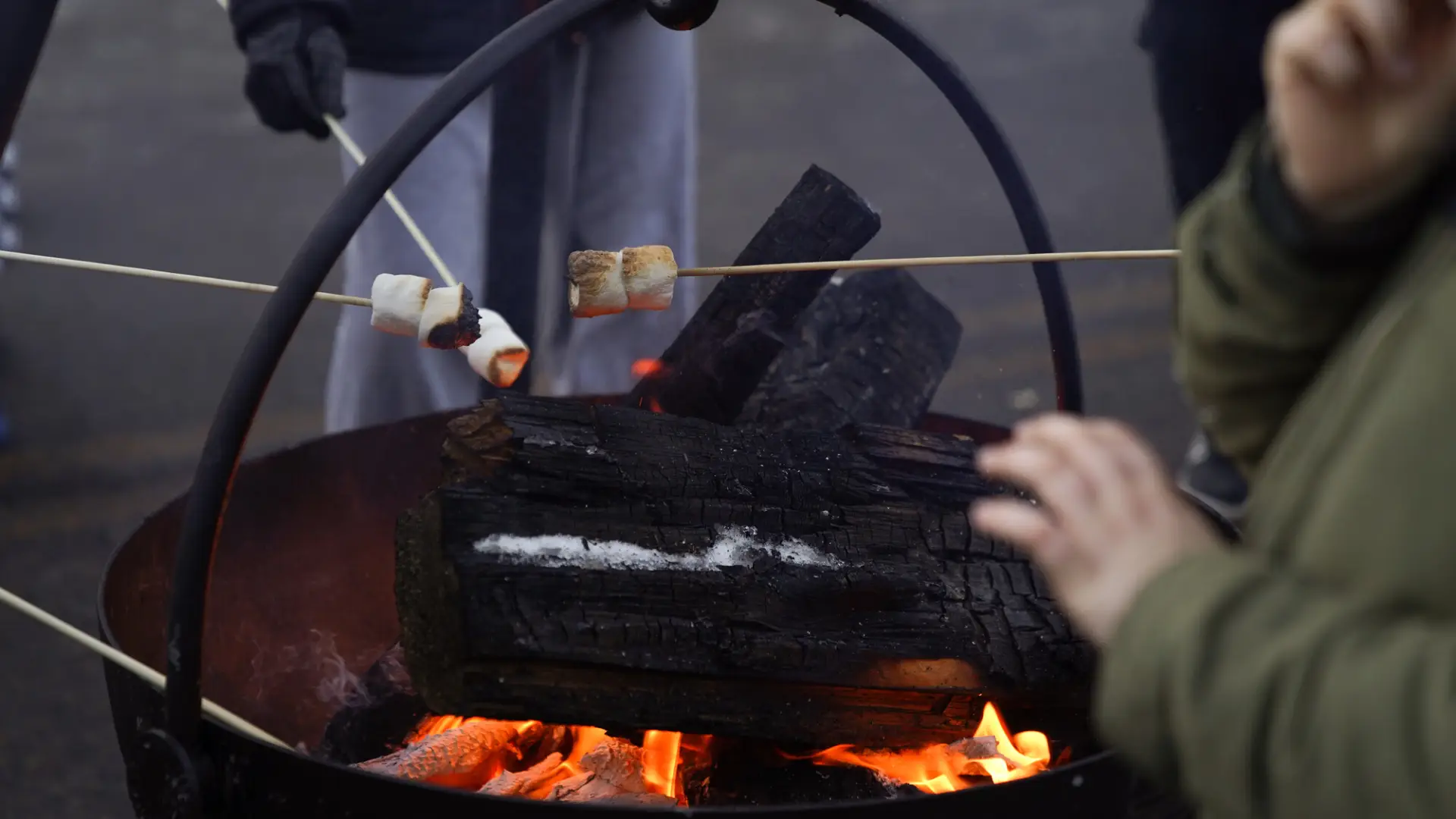 Fire pit with marshmallow roasting
