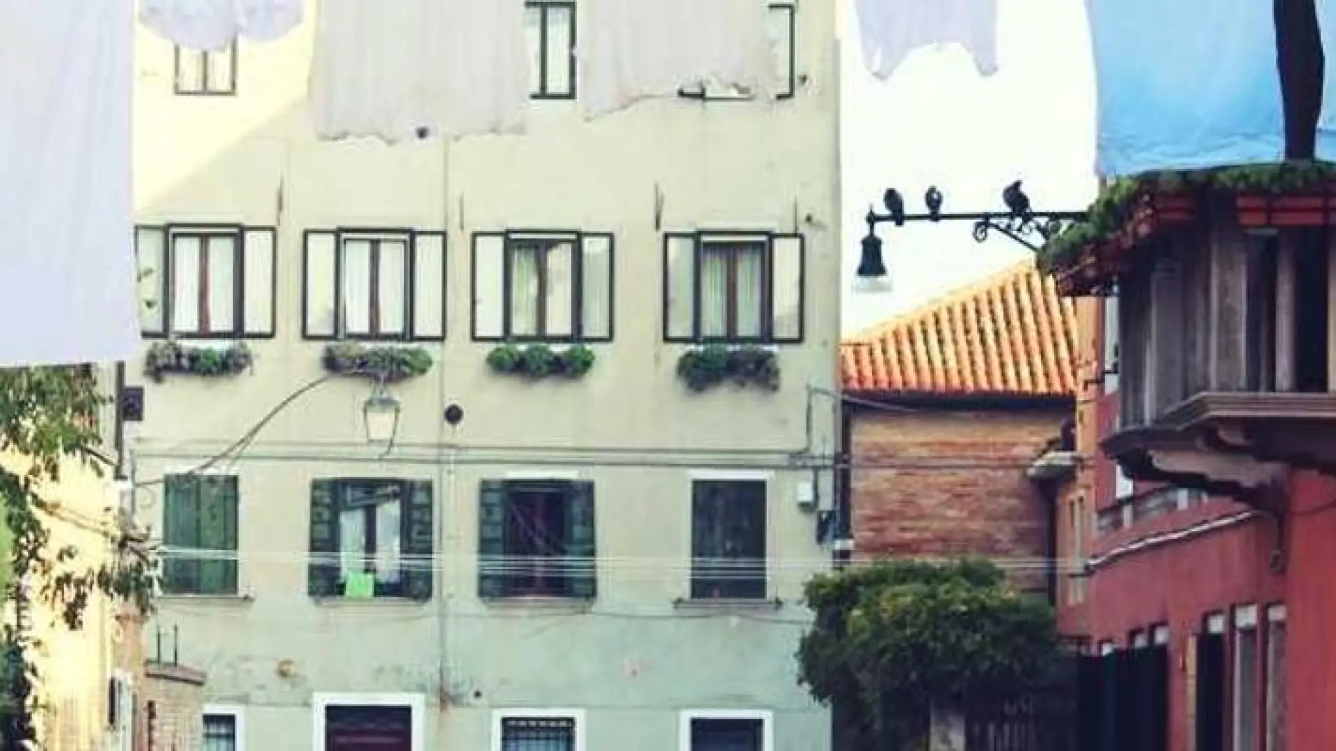 sample header image