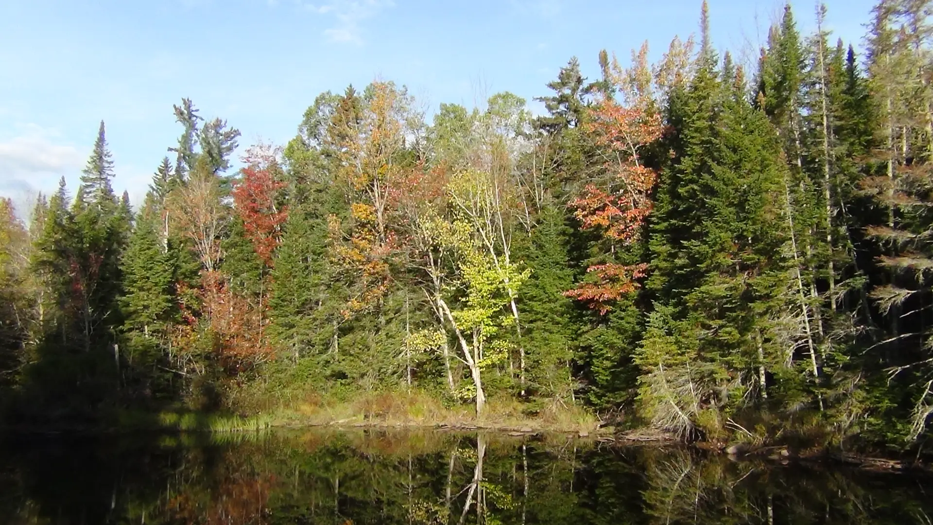 Paddling is a great way to get maximum foliage.