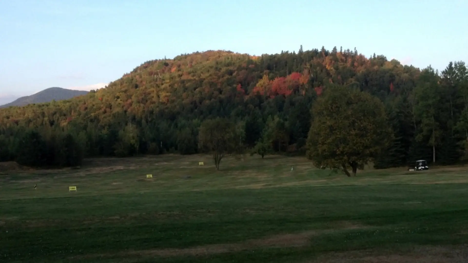 First sign of foliage