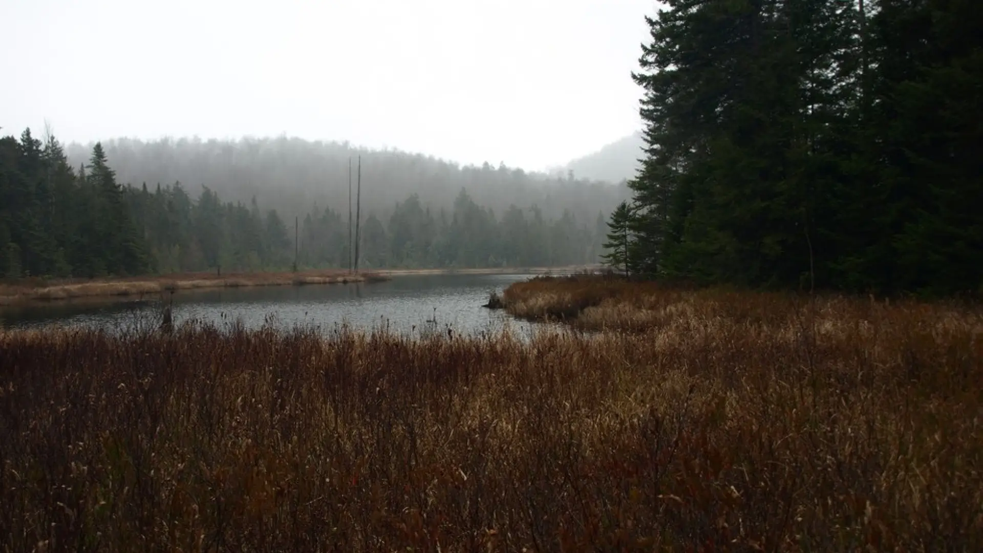 These wetlands support many kinds of birds and gives a view of the Whiteface Range.
