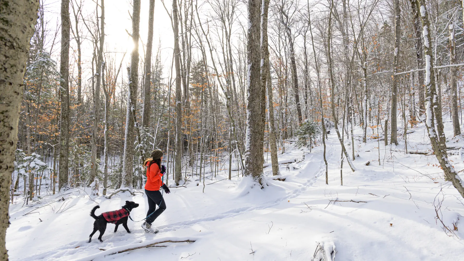 A woman hiking up a snowy trail with her dog.