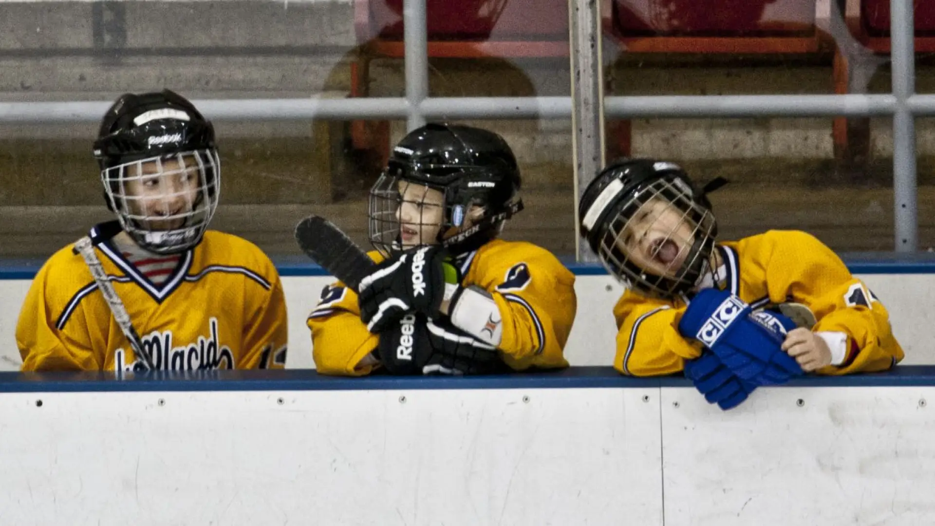 They're having fun making new friends. You should too.