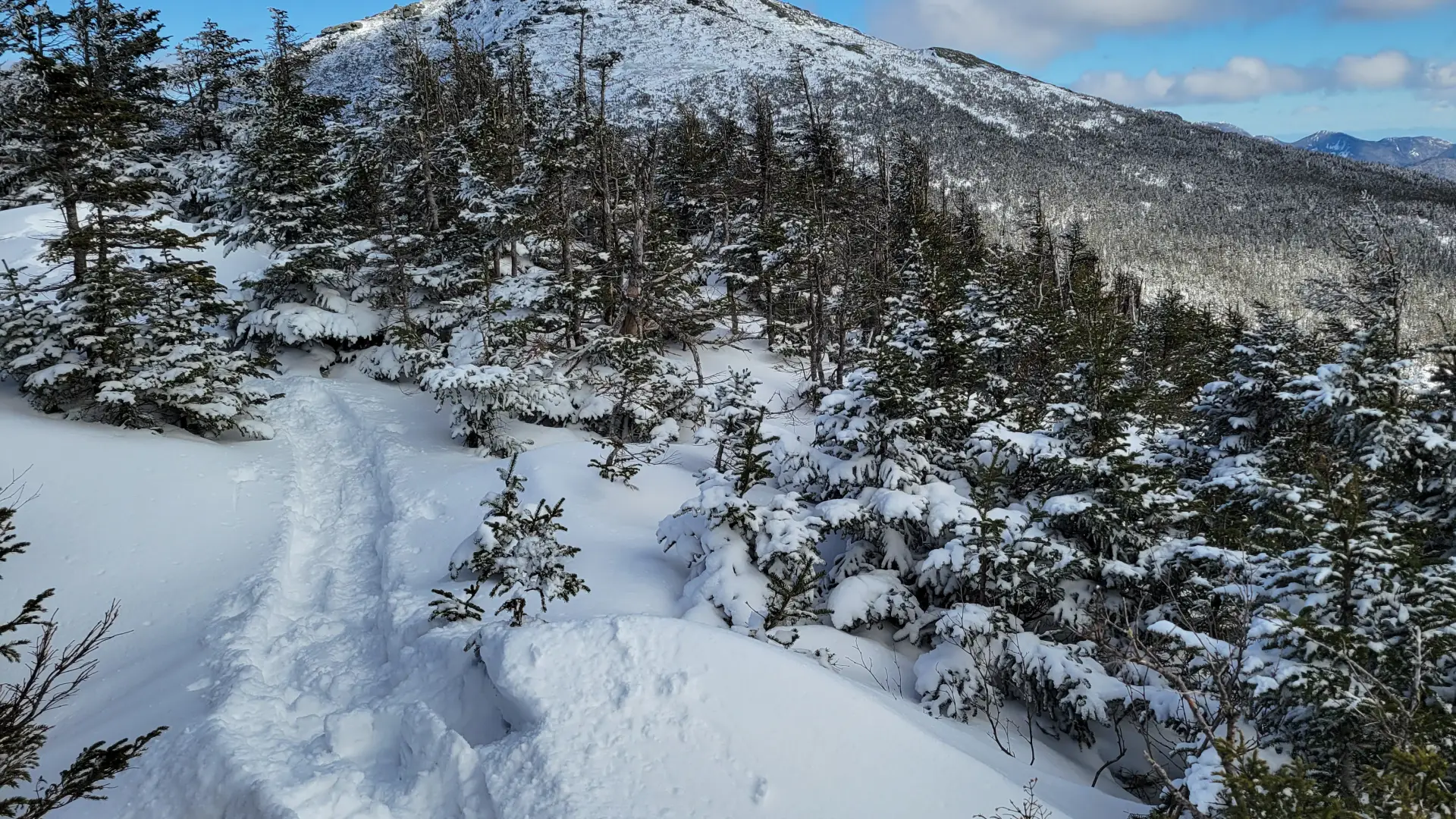 A snowshoe track leads to a summit with a view