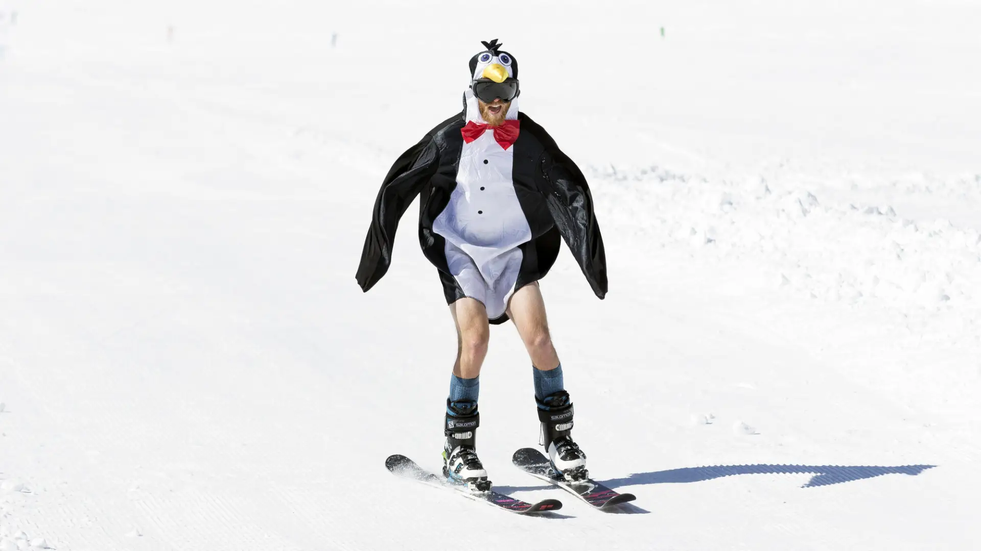 A skier flies down the mountain wearing a penguin costume