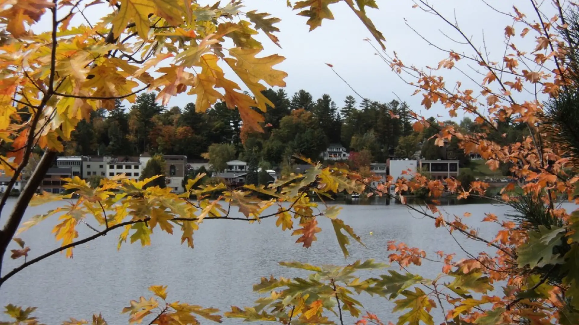 A view of a town across a lake through fall colored trees