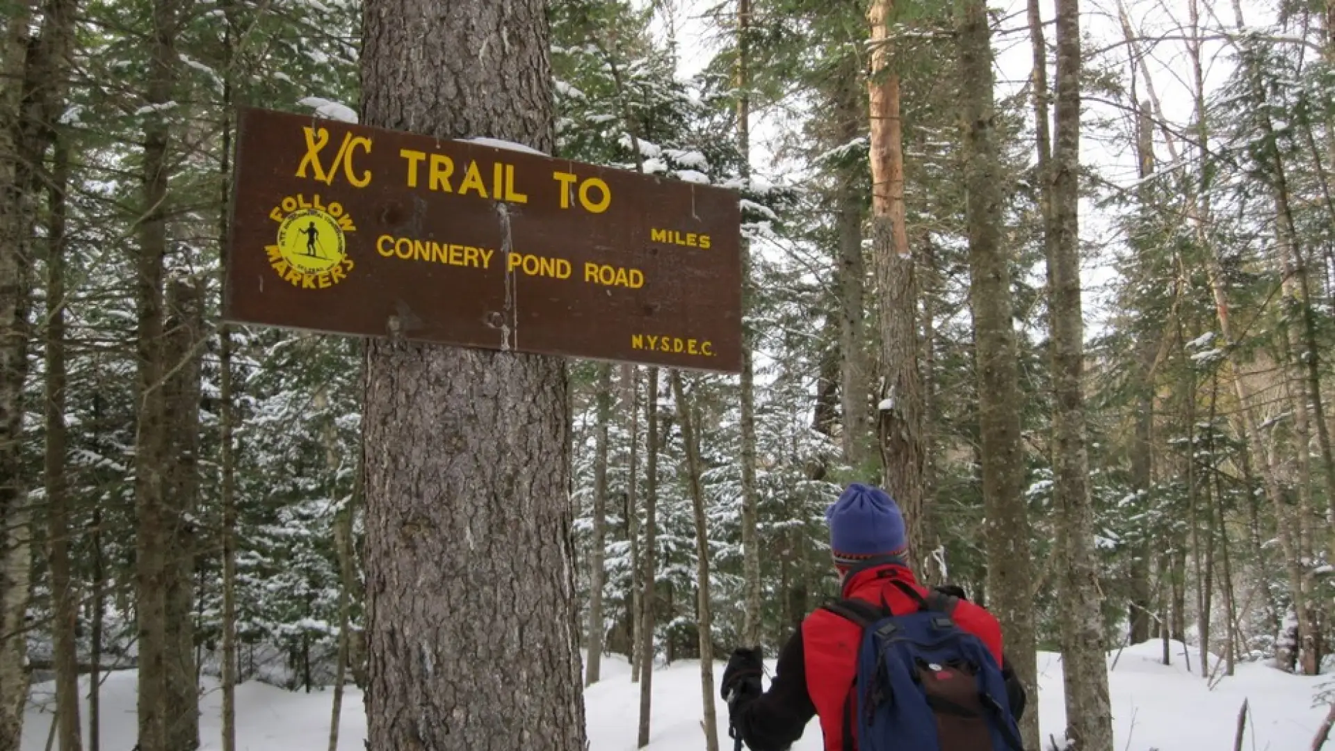 Look for the trail signs to Connery Pond.