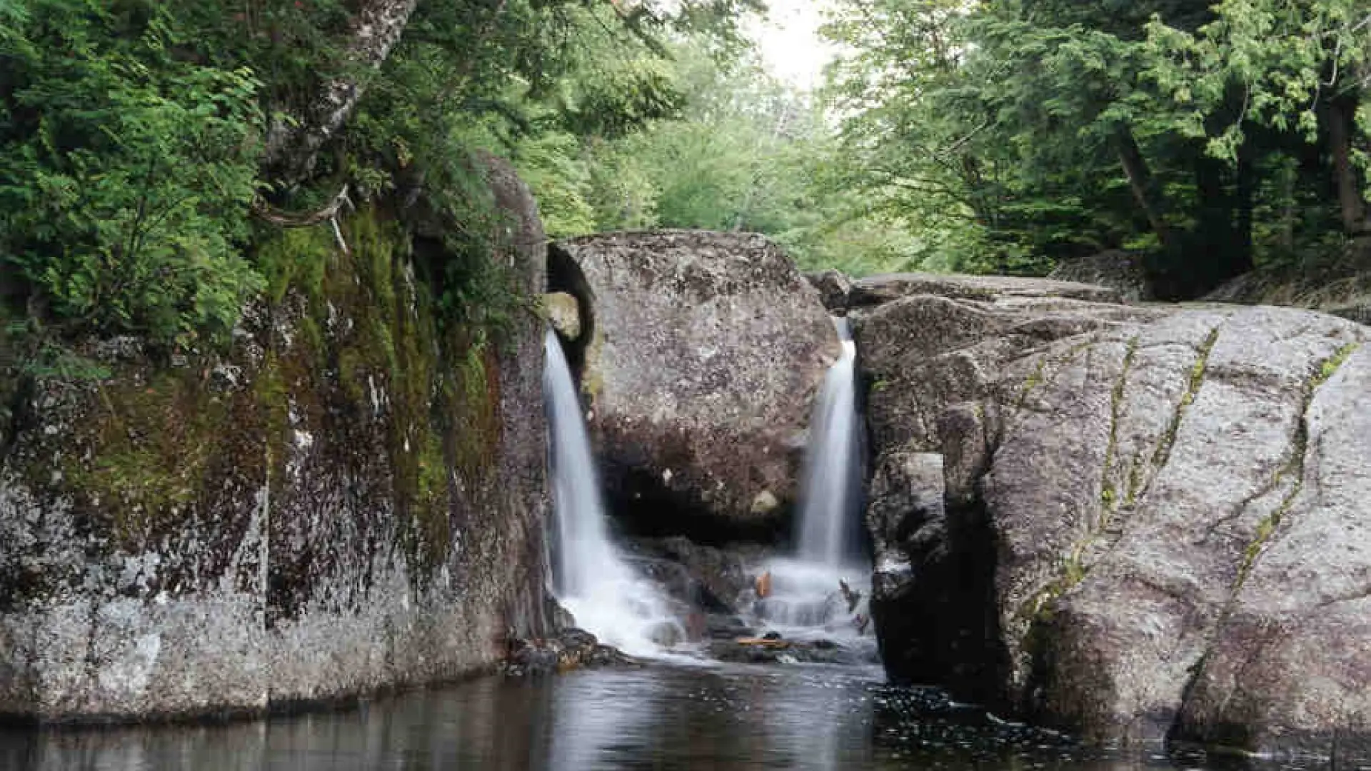 A small, dual waterfall flowing into a pool