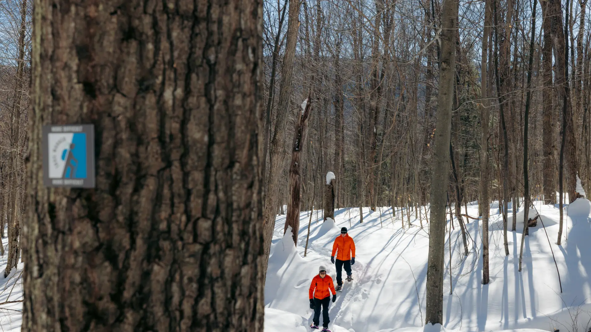 Two hikers snowshoeing in the woods