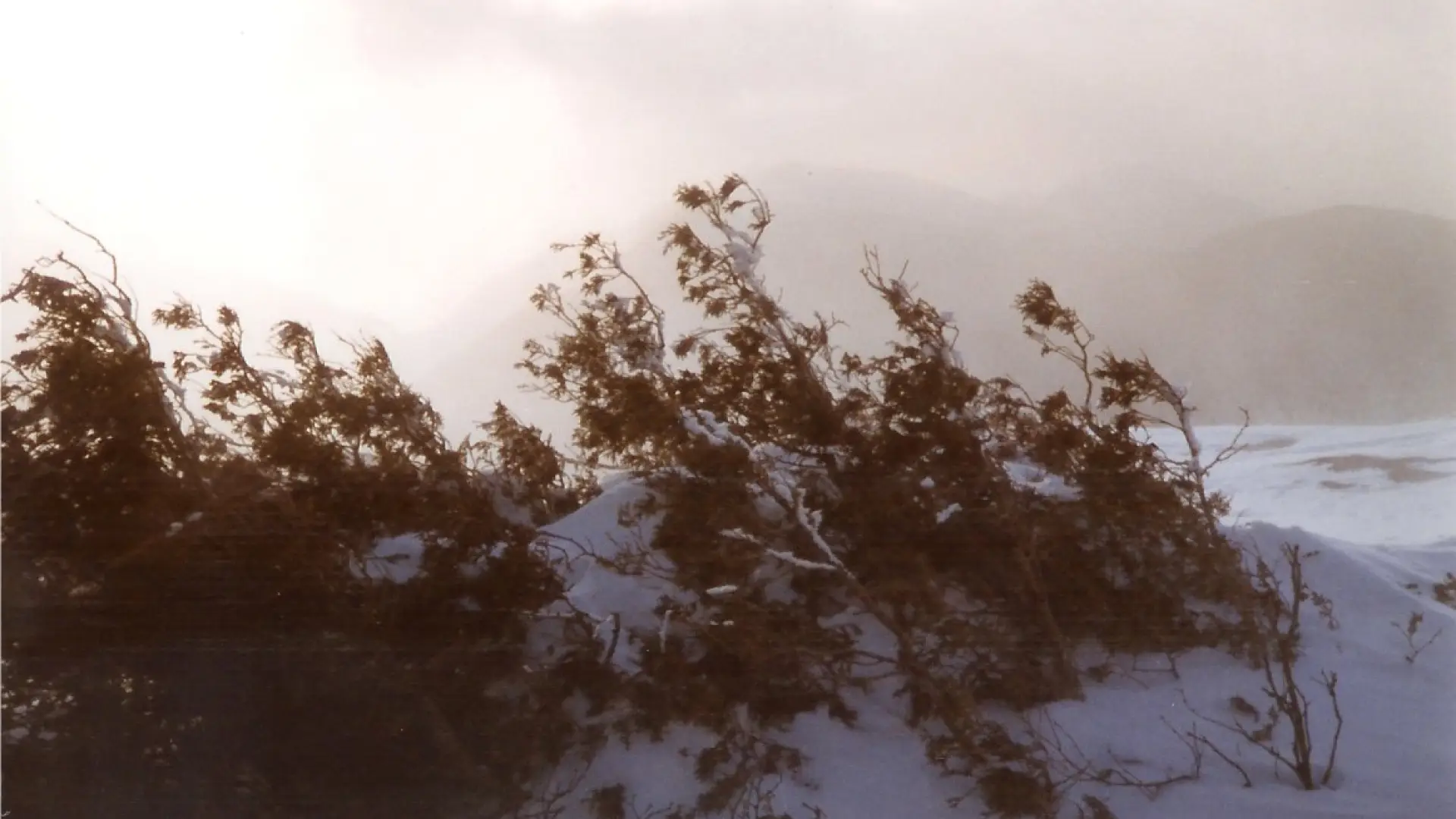 Windy and Cold on Noonmark