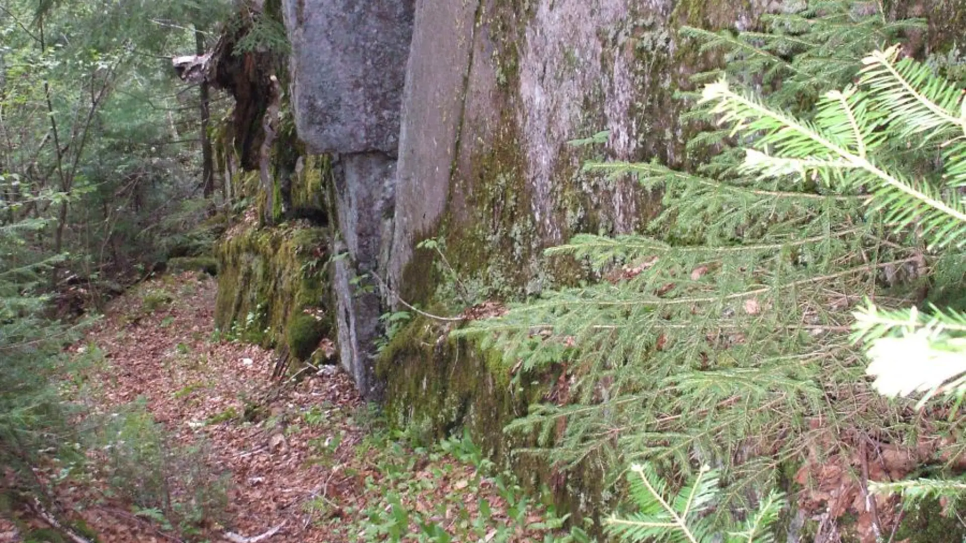 Along the trail