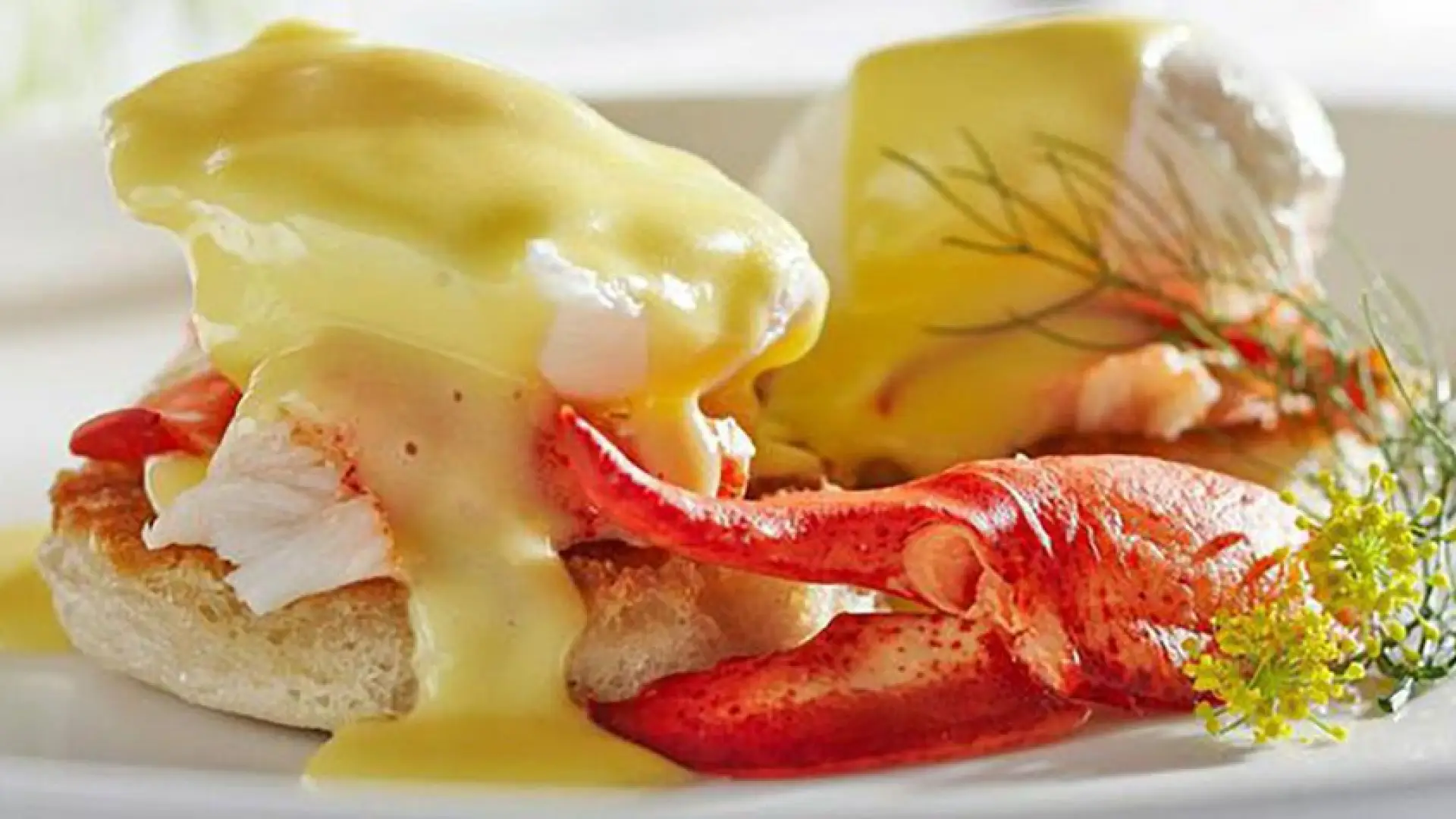 Delectable eggs Benedict with lobster claw meat on the side