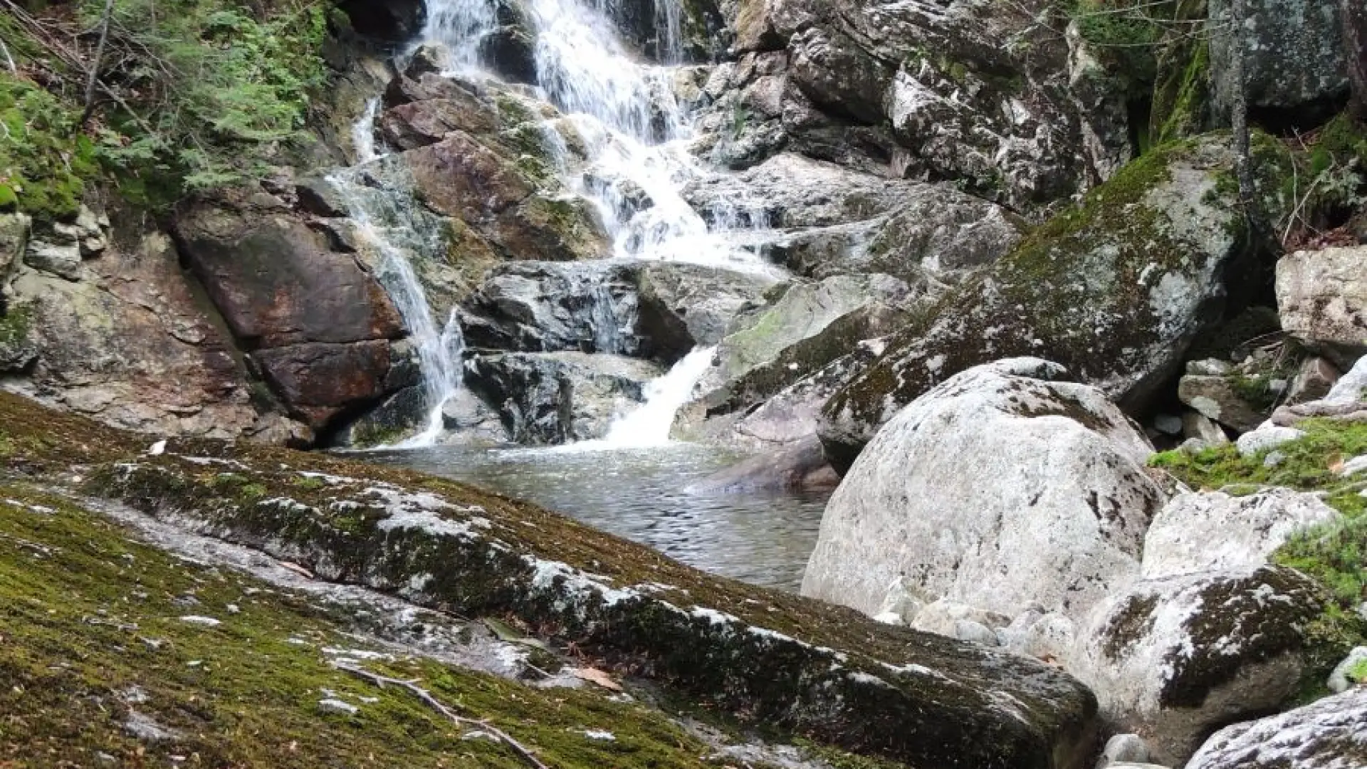 Heading up Wallface Brook
