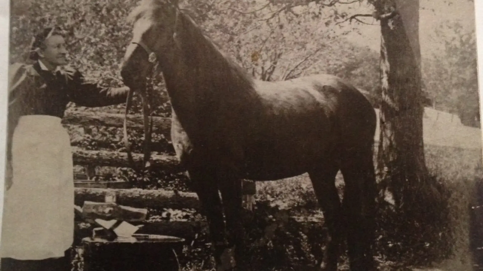 Anna with one of her prized horses