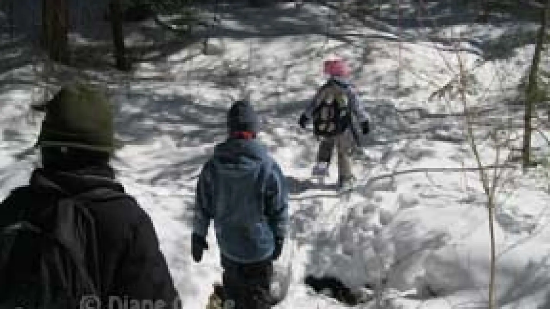 Owen Pond kids