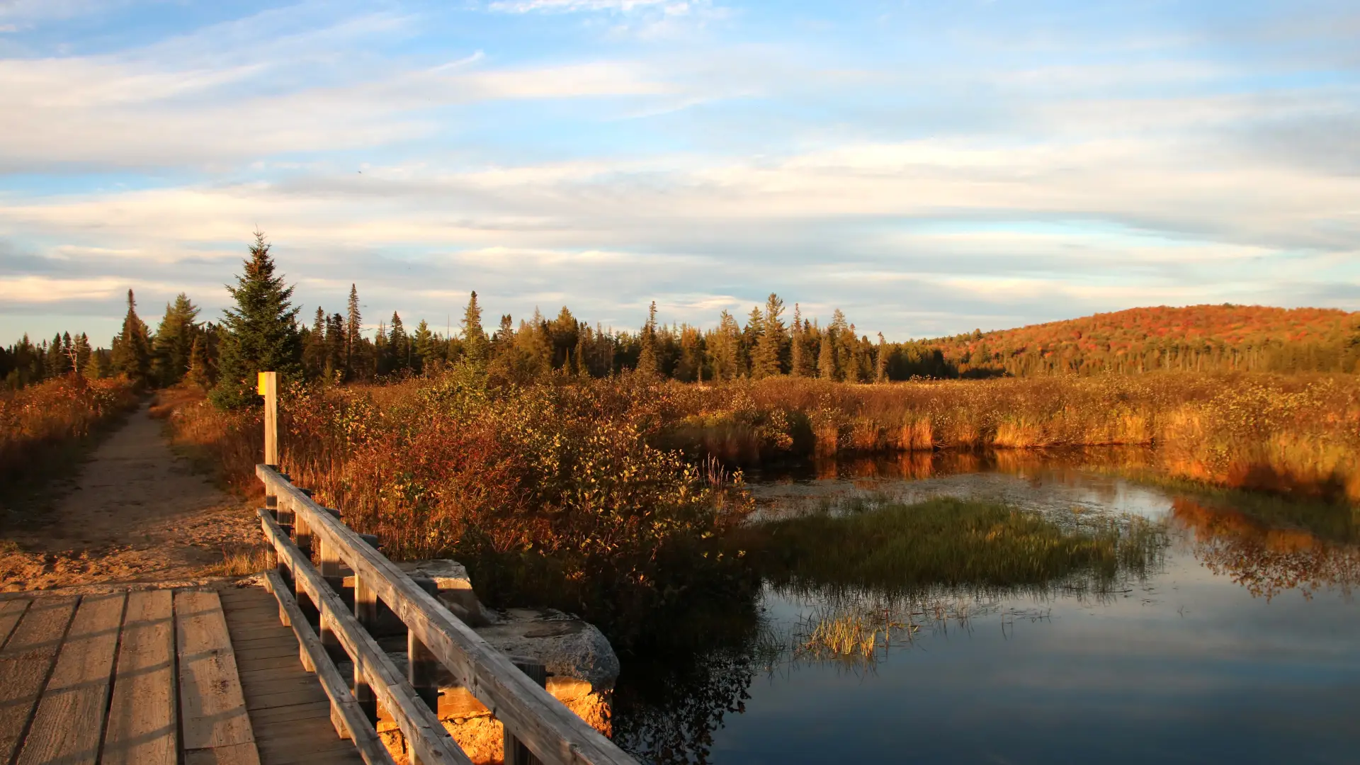 A wooden bridge over water in the fall