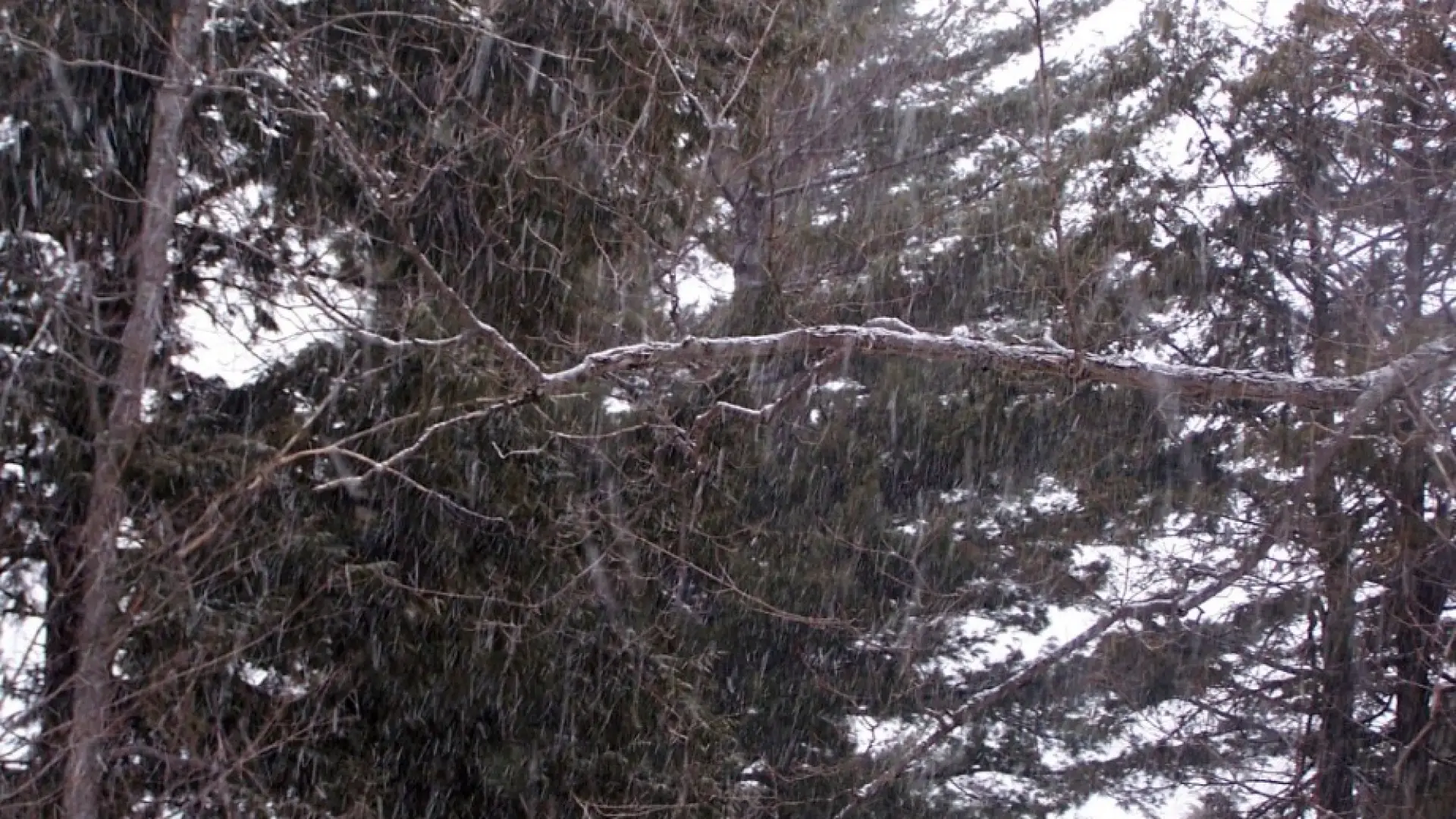 spring snow