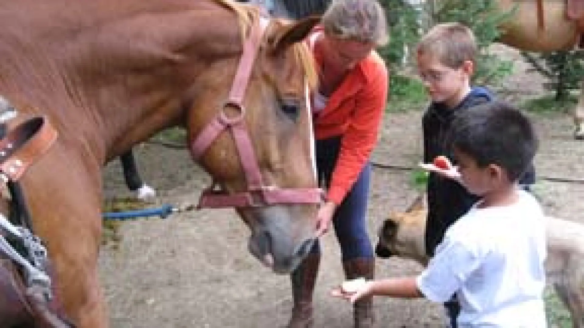 horsetrail eating apple