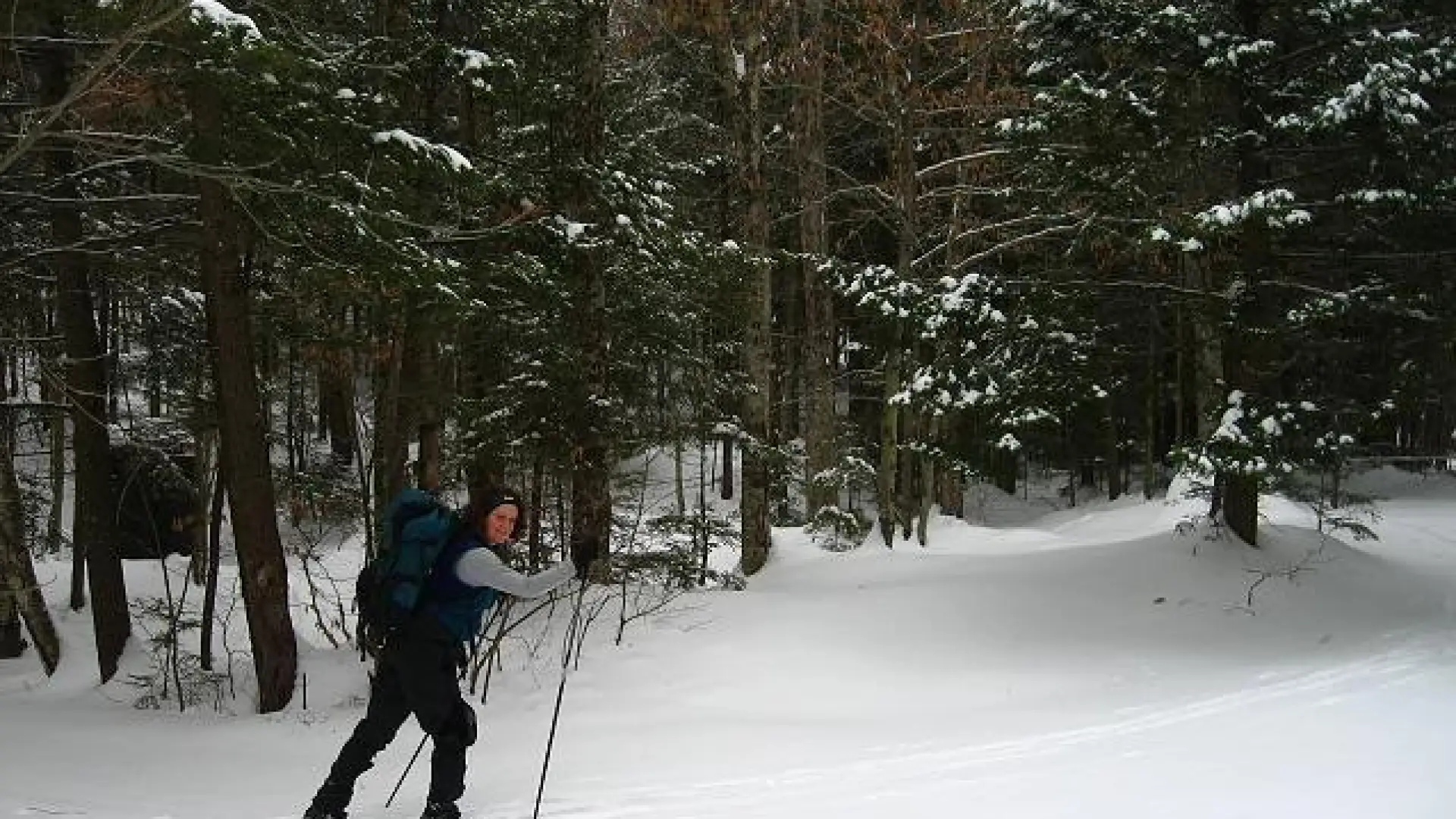 With so many trailheads to choose from, shorter treks can be planned.