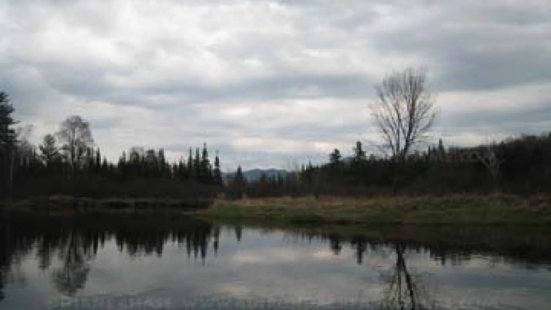 mountain view on Saranac River