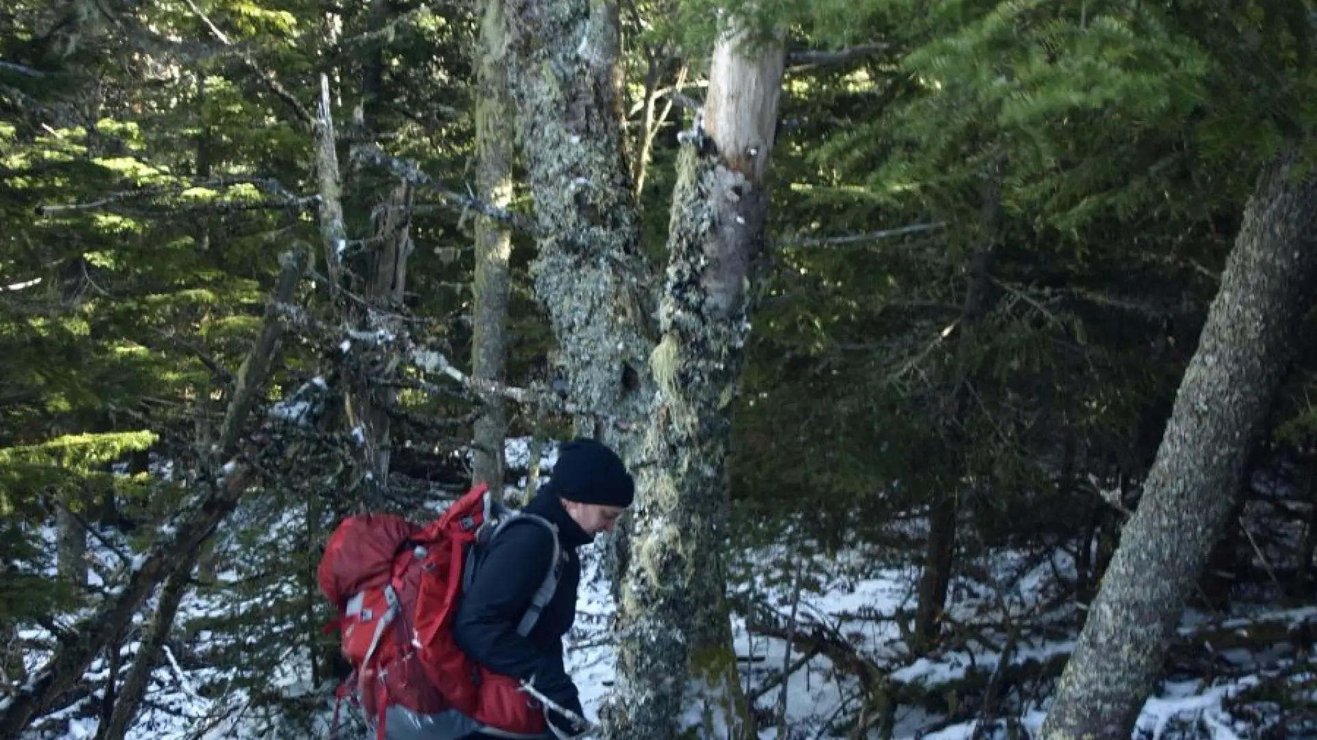 A bit thicker at 3,500 feet and a bit more snow, too