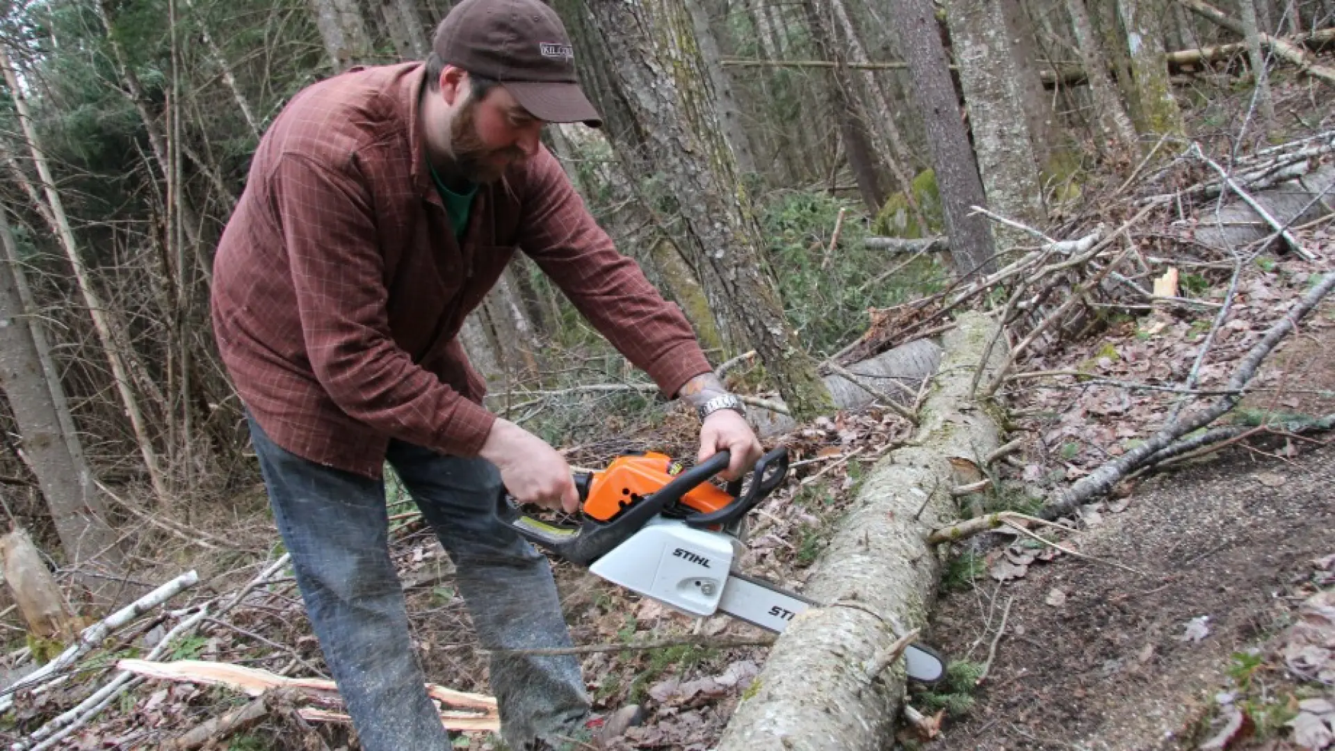 Liquids and Solids' co-owner/chef Tim Loomis is also a Barkeater Trails Alliance Volunteer