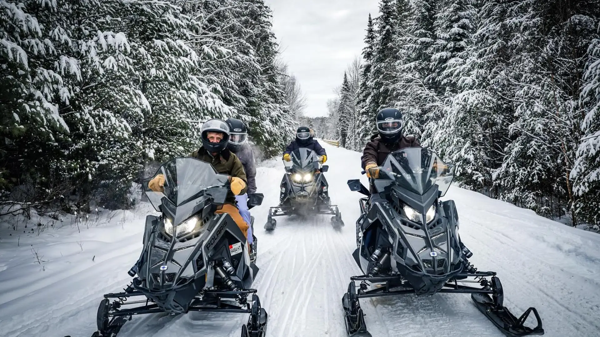 the fleet of Polaris machines riding down a freshly groomed trail lined with snow-covered pines