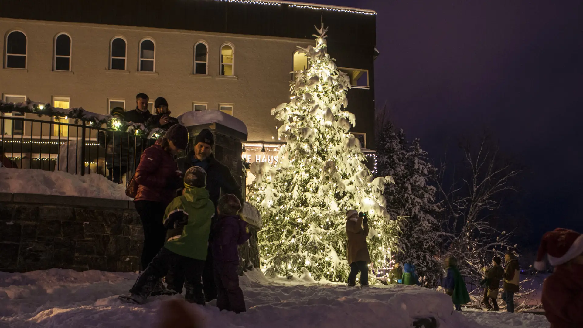 Children and adults play in the snow in front of a large tree covered in snow and white lights.