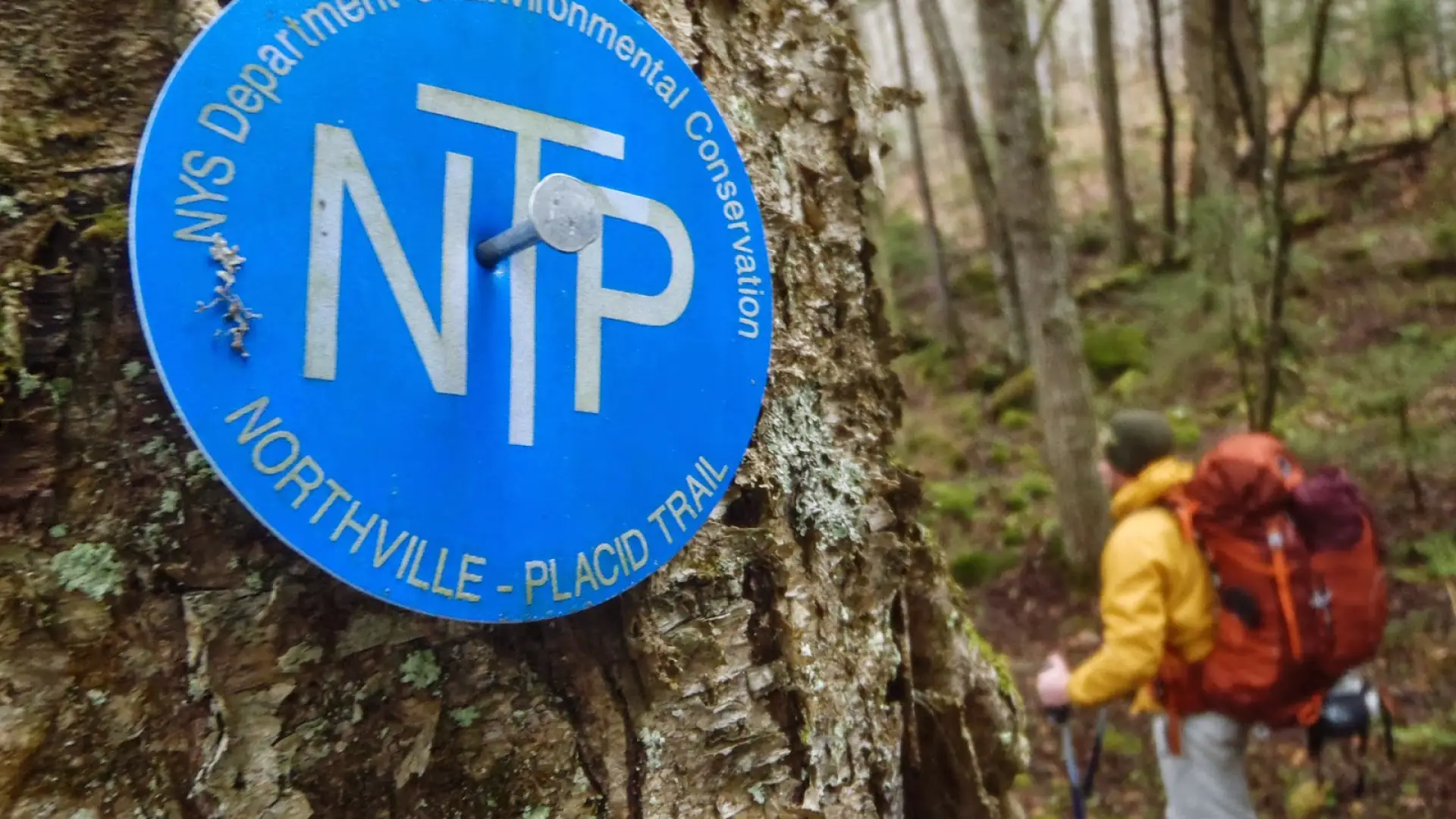 Northville-Lake Placid Trail marker is the signal for that incredible through hike you've been craving.