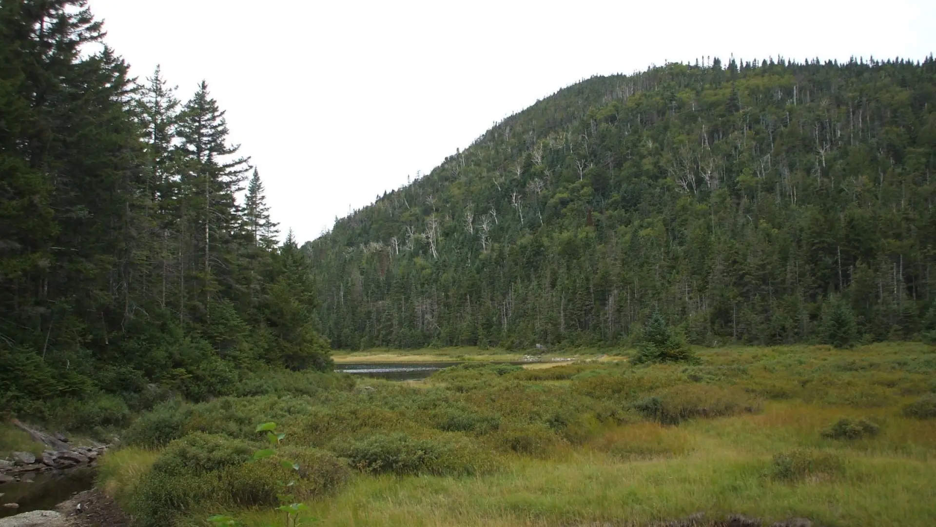 This scenic trail offers the tranquility of Scott and Wallface ponds in the Adirondack High Peaks.