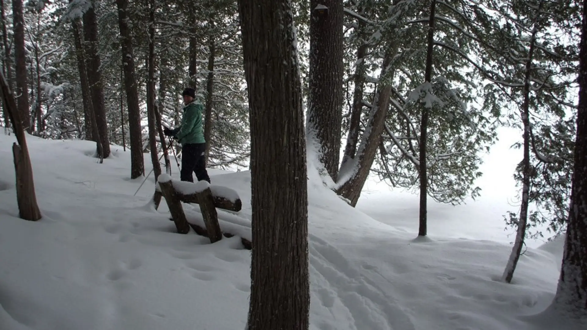 The lakeside trails are especially popular to ski on.
