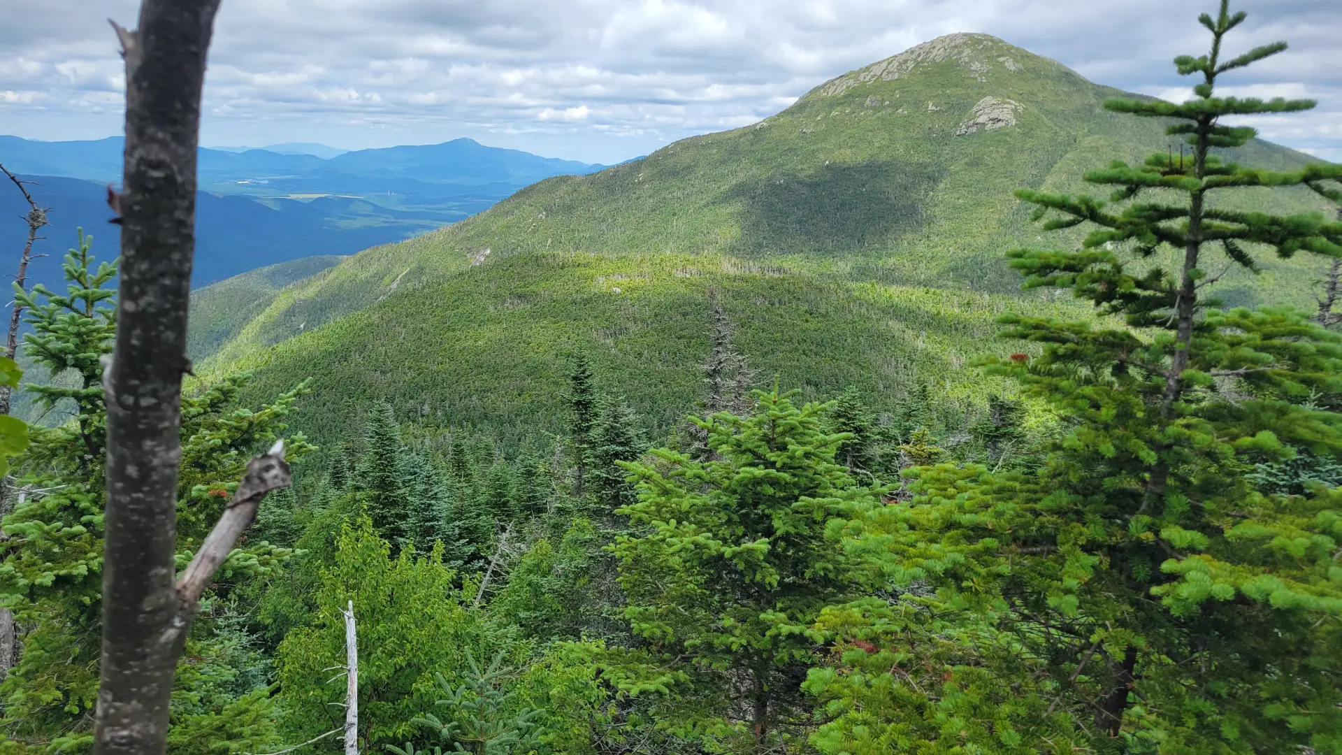 A tall summit seen through trees