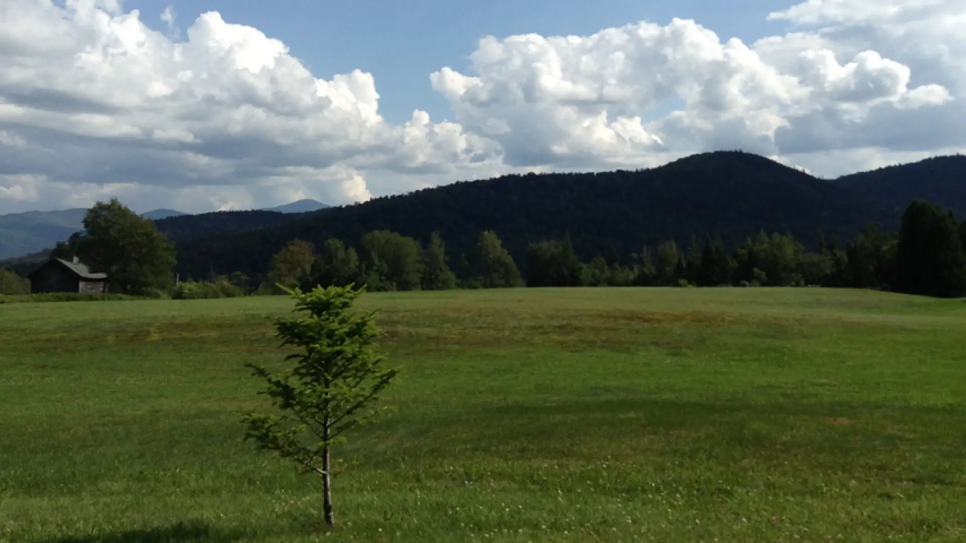 Enjoy lovely meadows with mountains in the background.