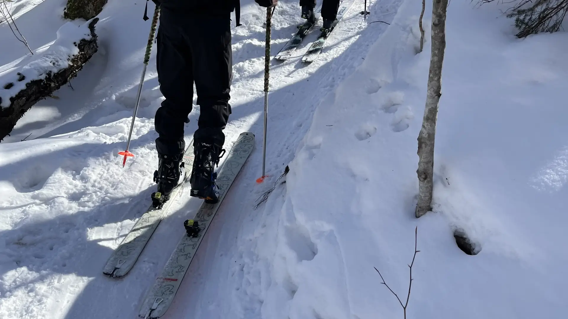 People traverse the snowy landscape on backcountry skis