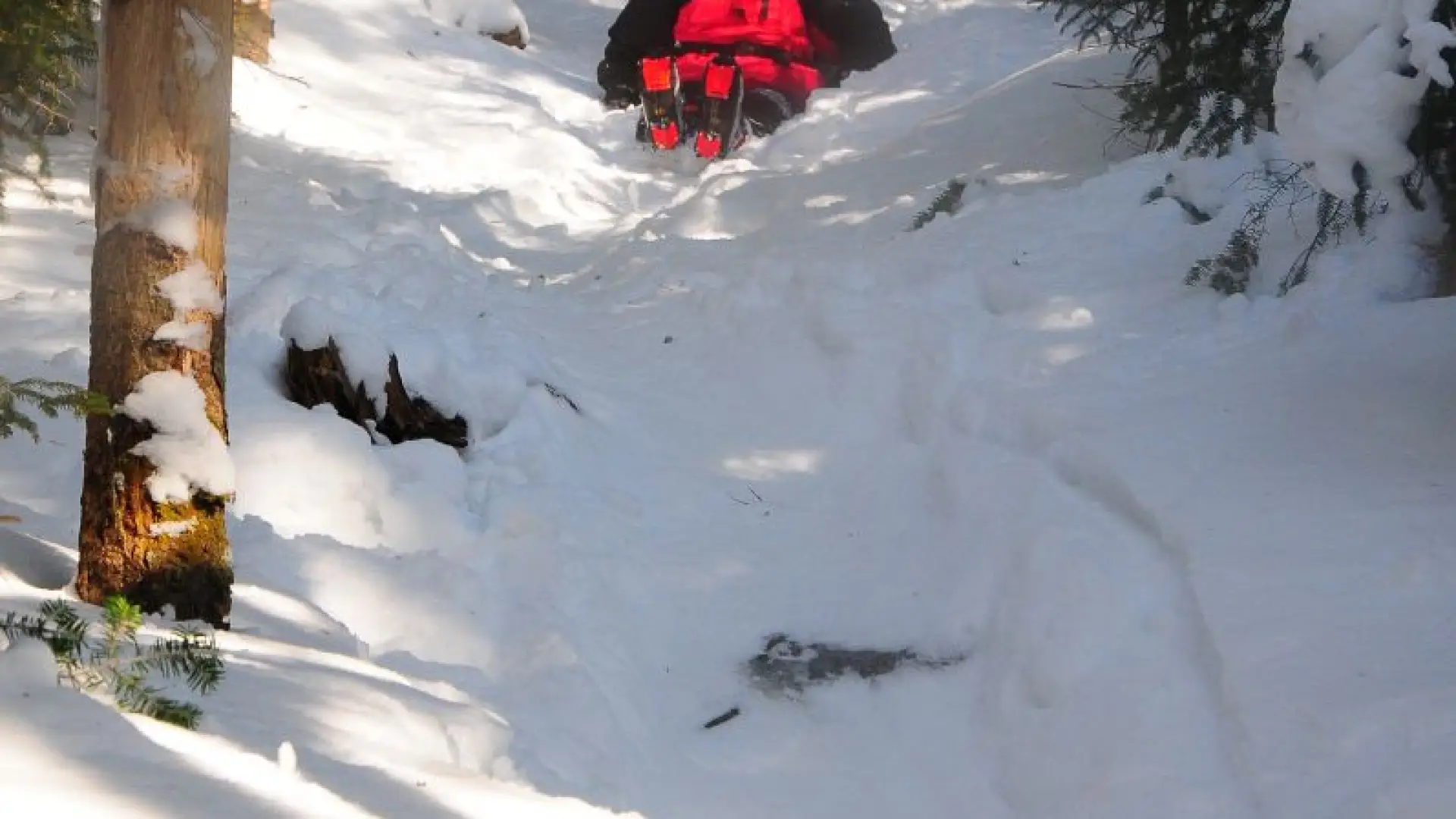 Butt-sliding down the trail!