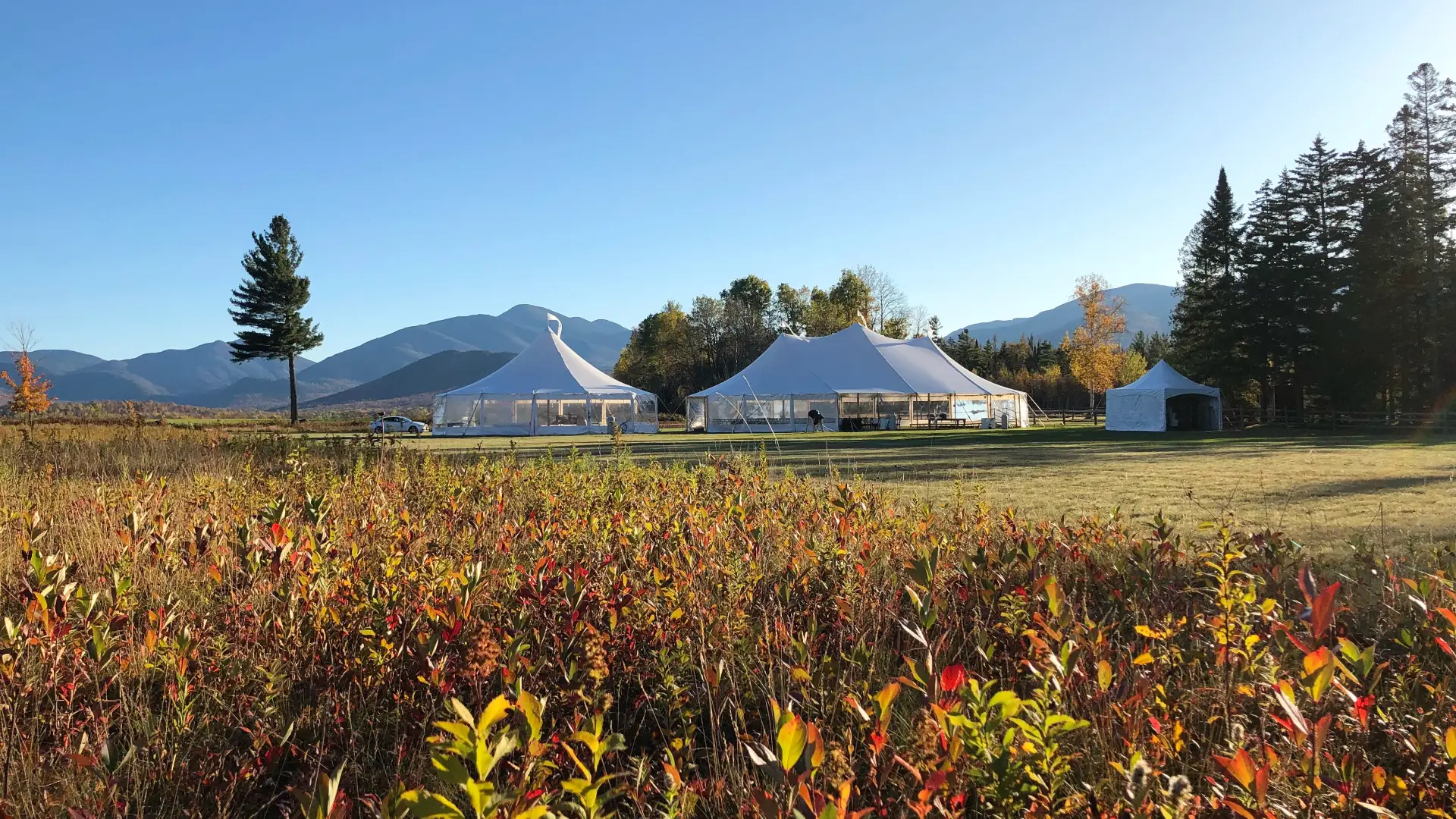Fall color sweeps through the meadow offsetting the large white tents of the wedding celebration