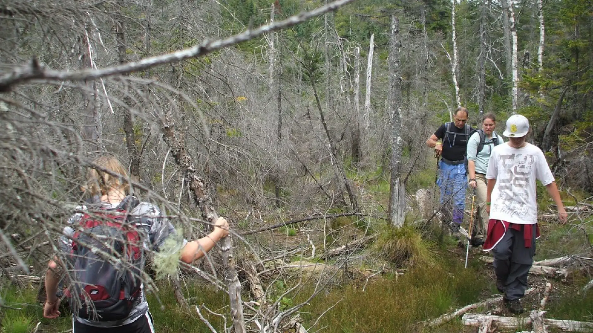This trail has ponds and wet areas, so arrive prepared.