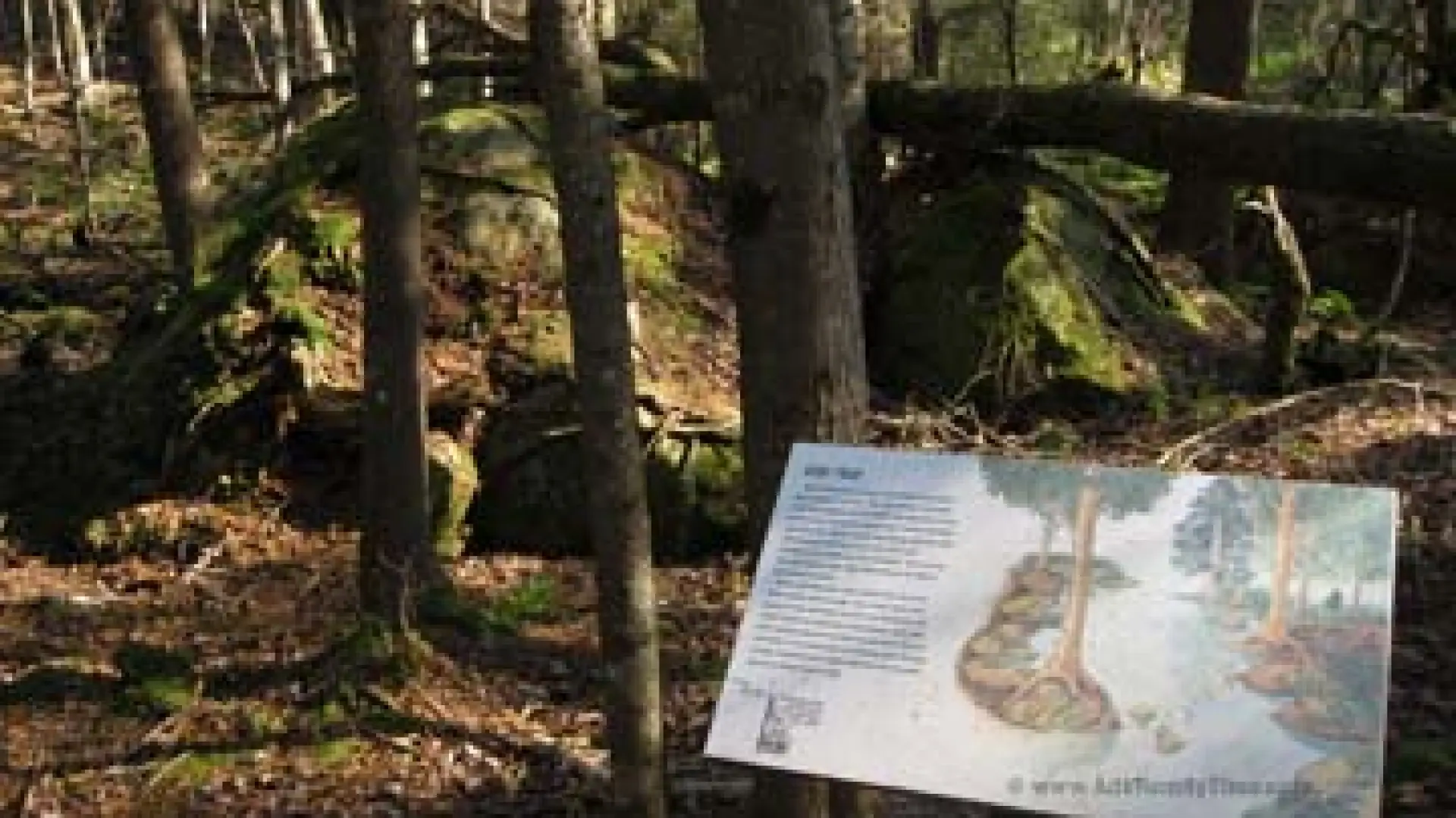 Brewster peninsula interpretive sign