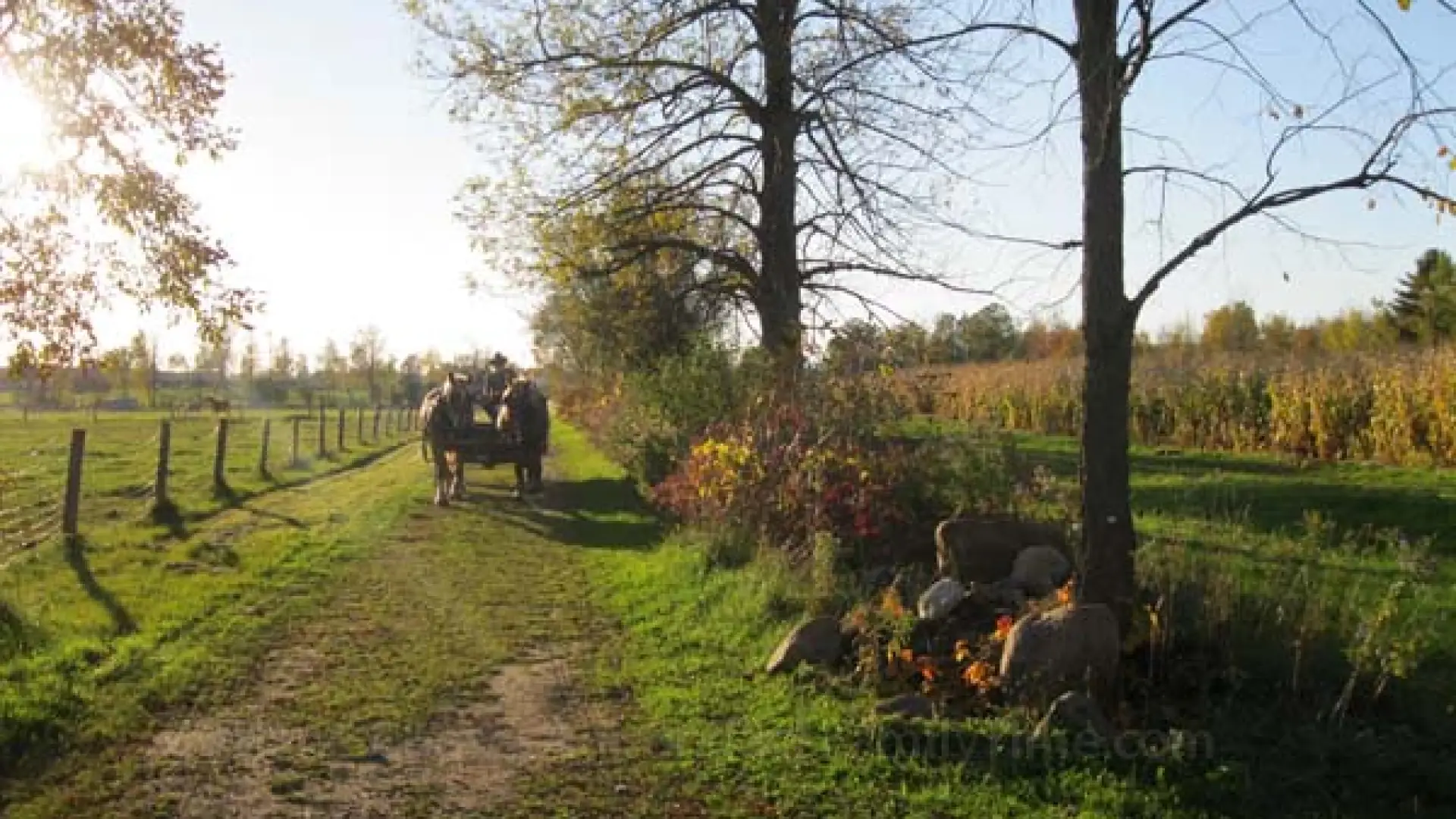 wagon ride