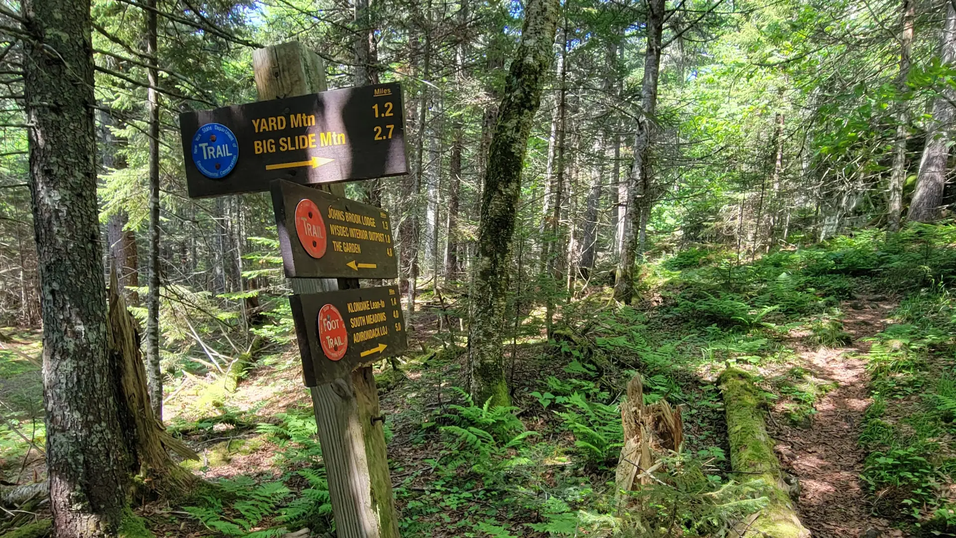 A trail junction with a few wooden signs for mileages