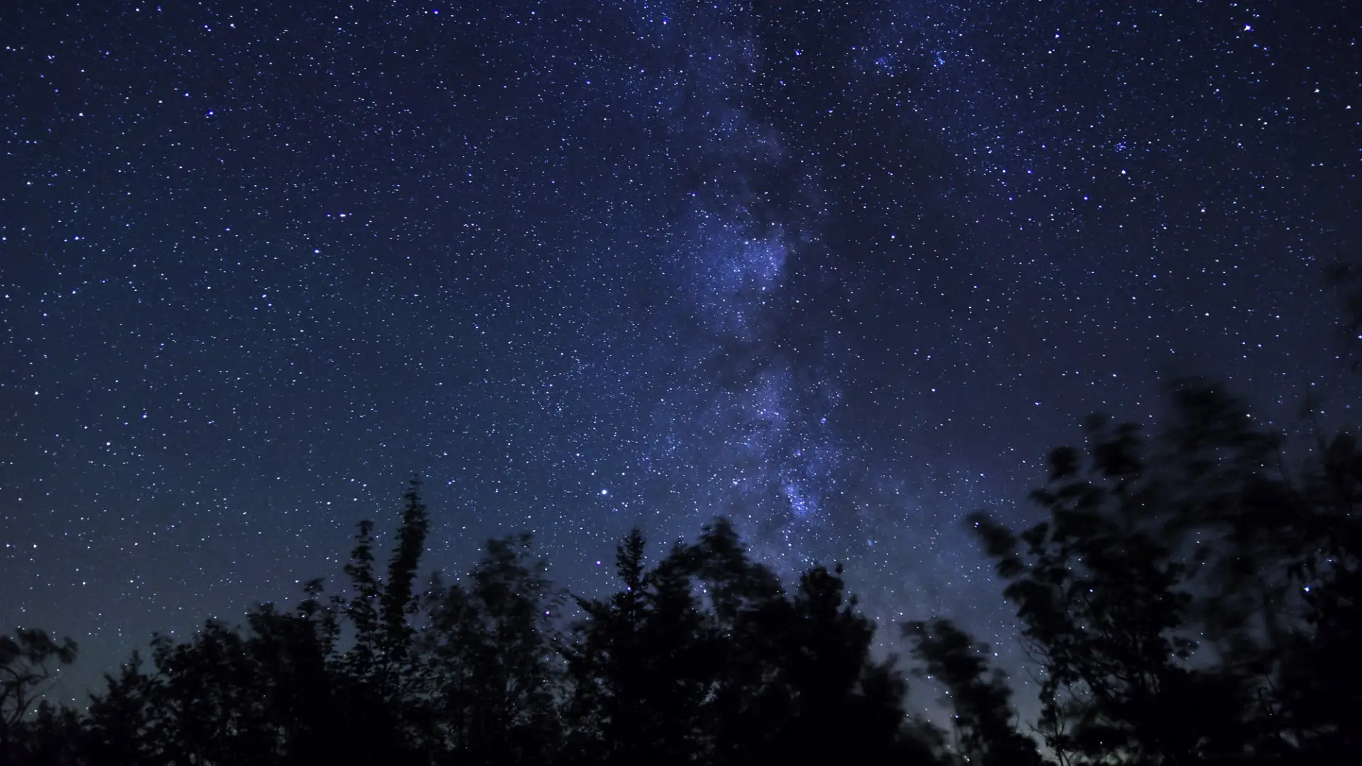 A dark, starry night sky.
