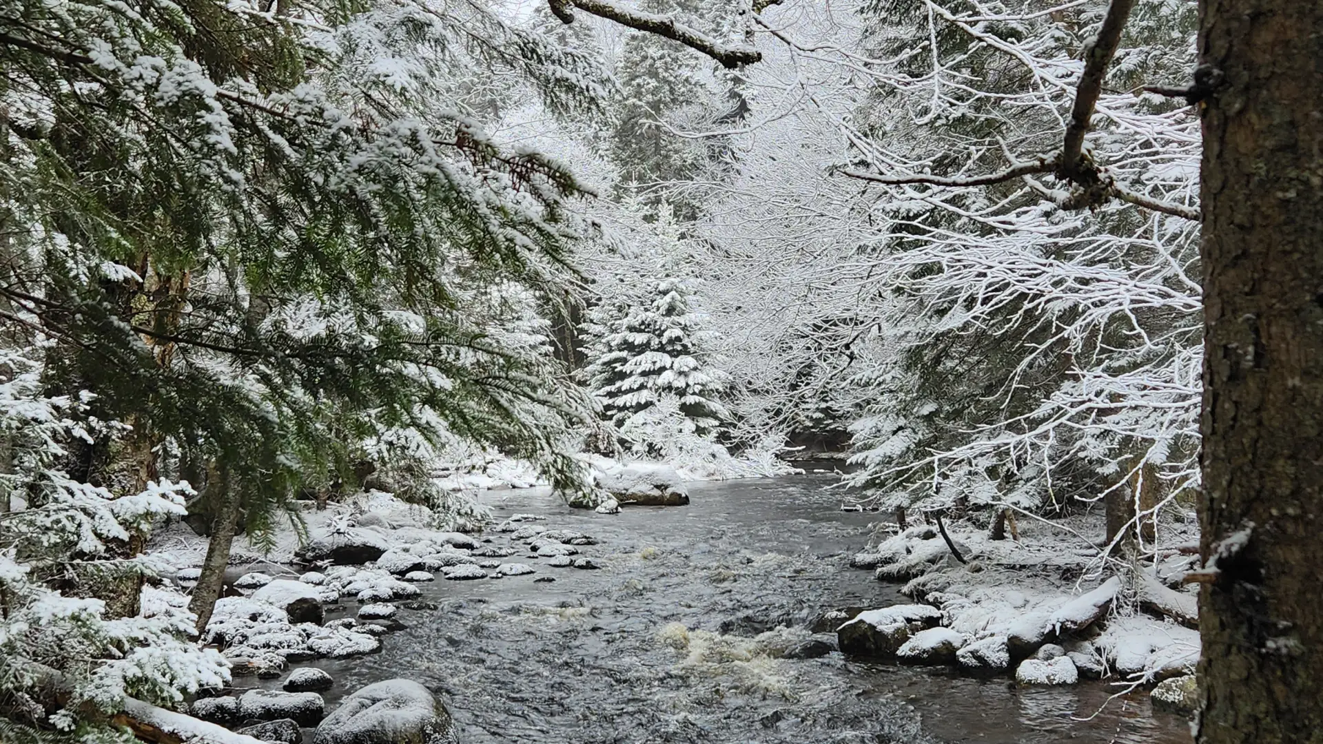 A river scene lightly dusted with fresh snow