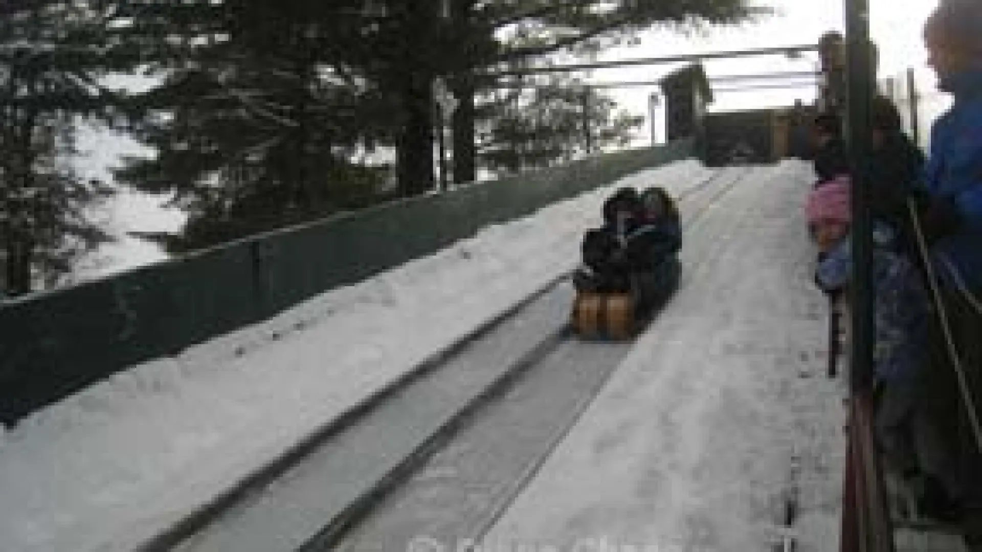 Toboggan kids