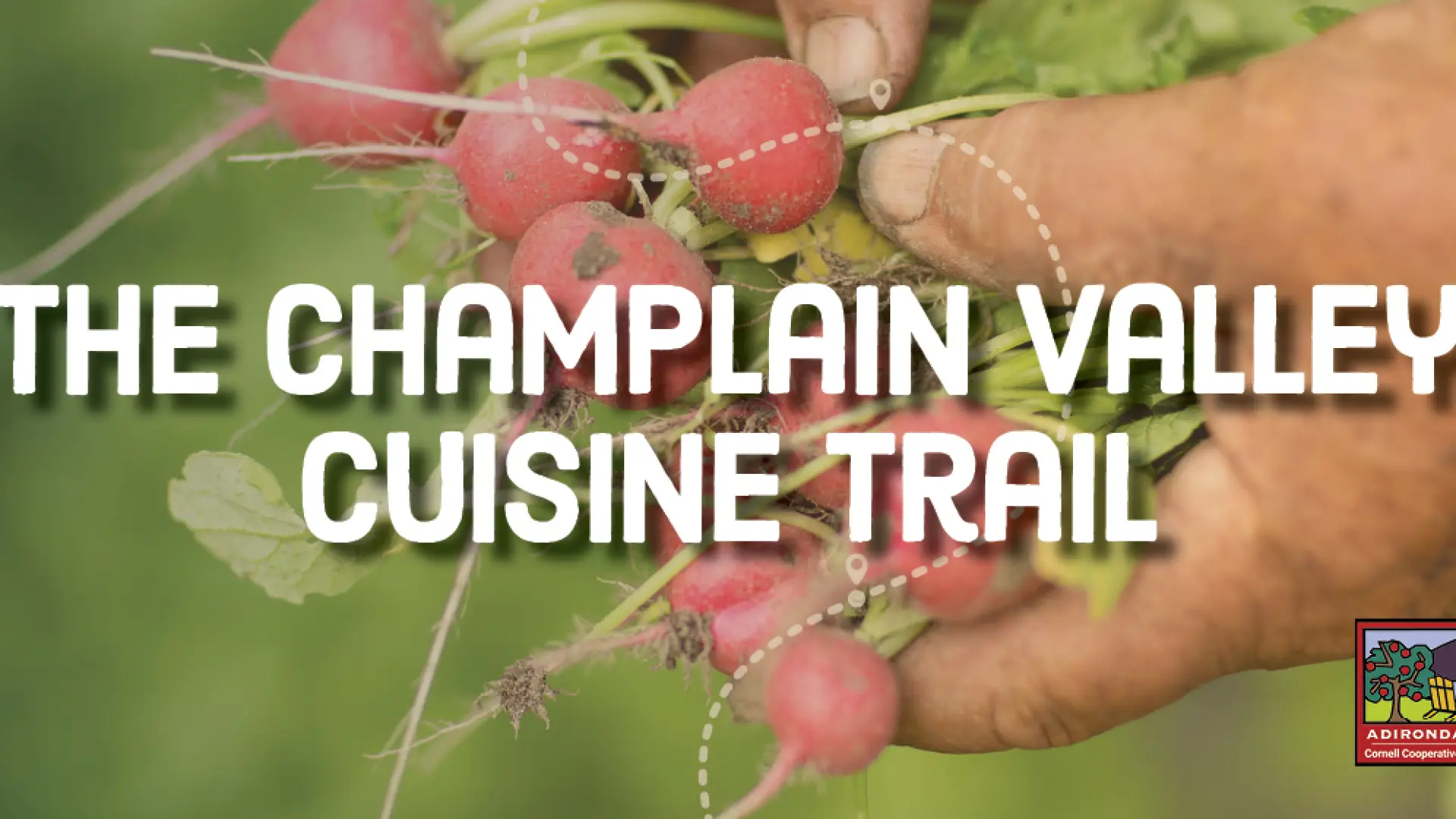 A banner that reads: Champlain Valley Cuisine Trail.