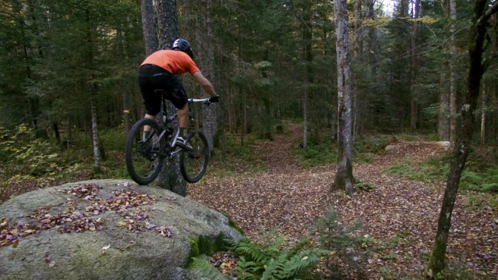 Lake Placid's awesome trail riding brought to you by The Barkeater Trails Alliance
