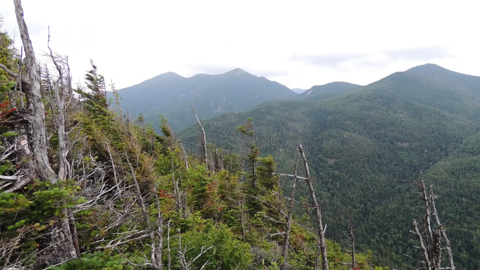 A brilliant summit view