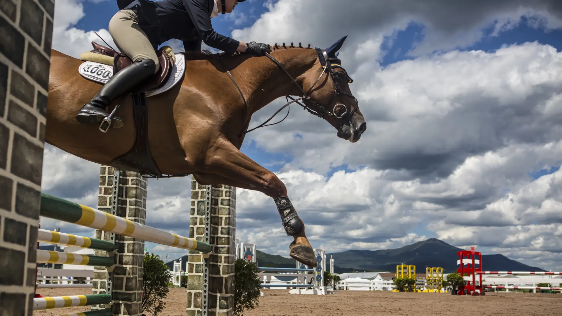 Horse Jumping in Lake Placid