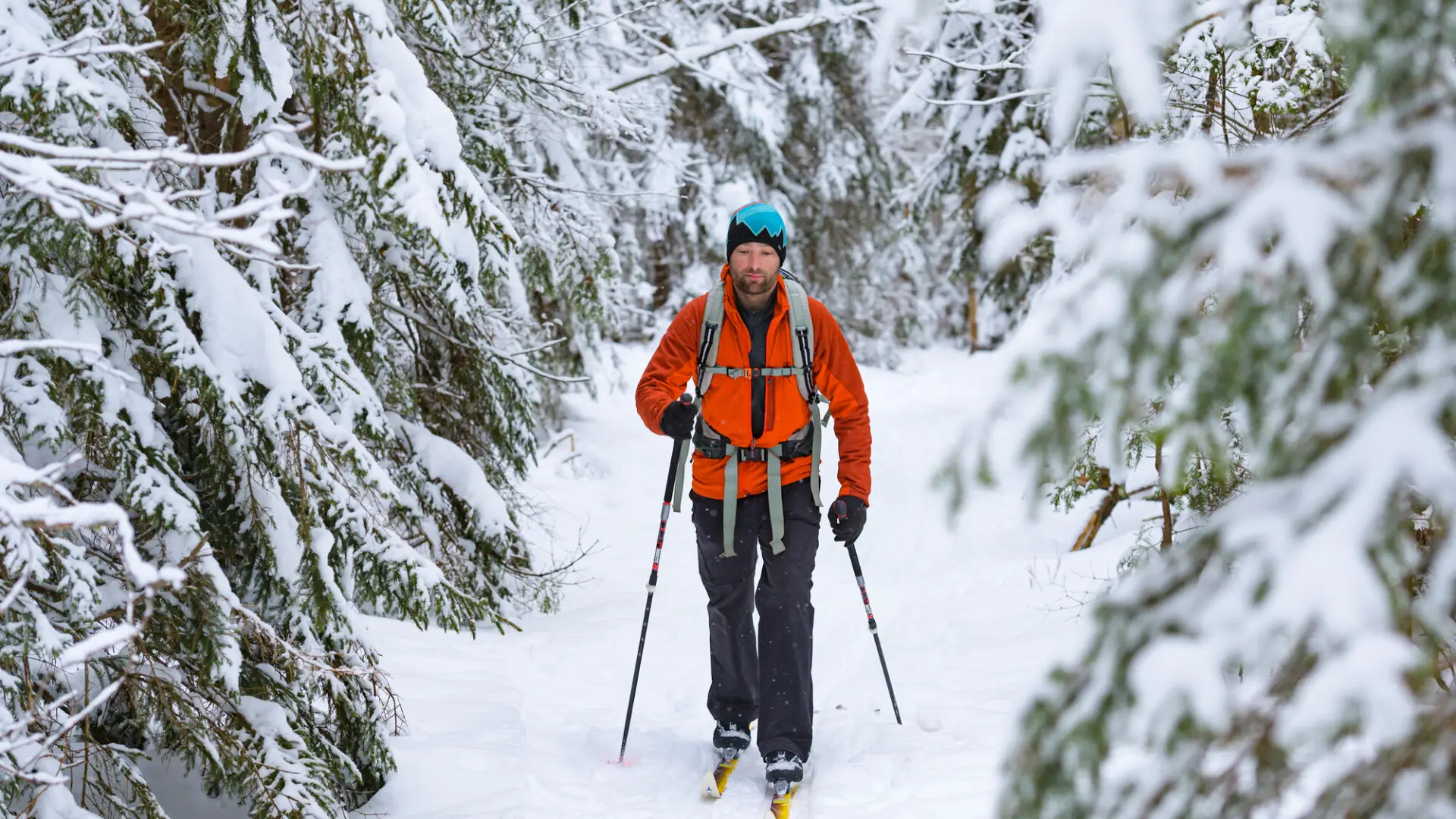 A man with a beard and a red jacket skis on a narrow trail lined with snow covered pine trees.