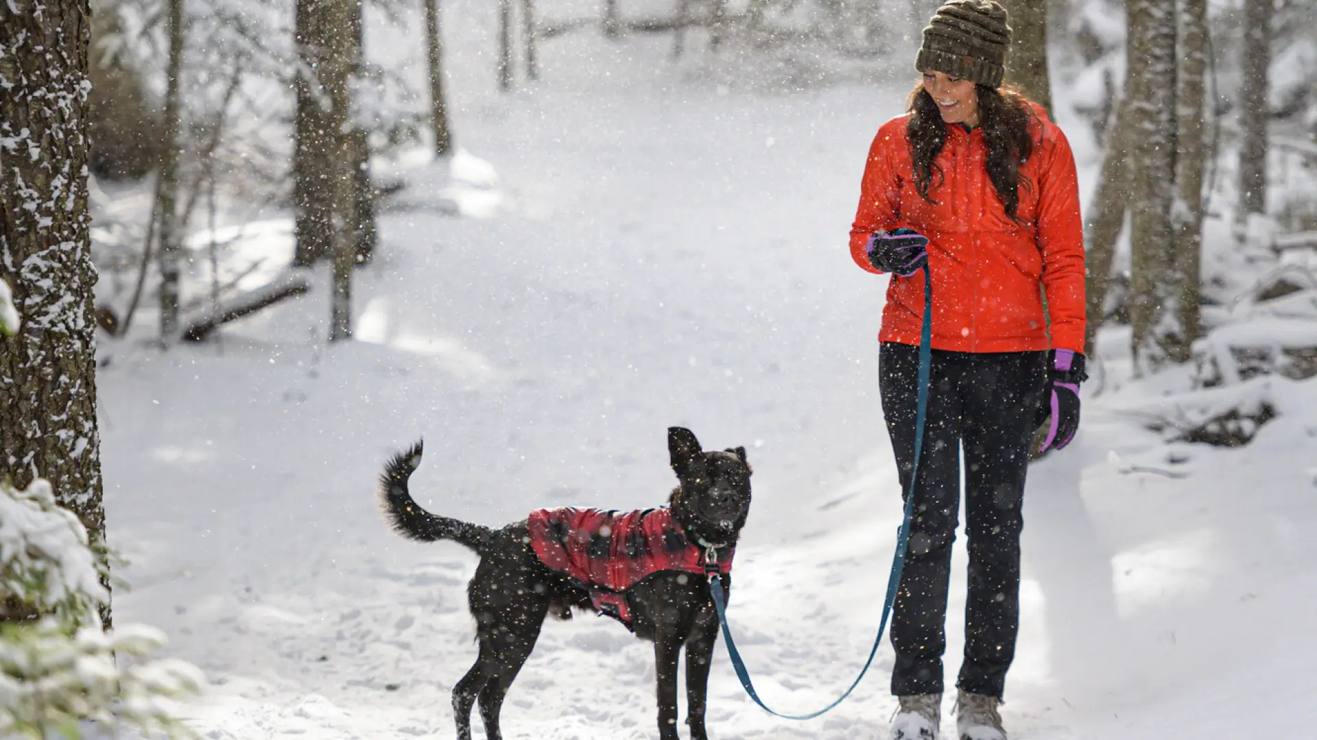 A woman on a winter hike with her dog.
