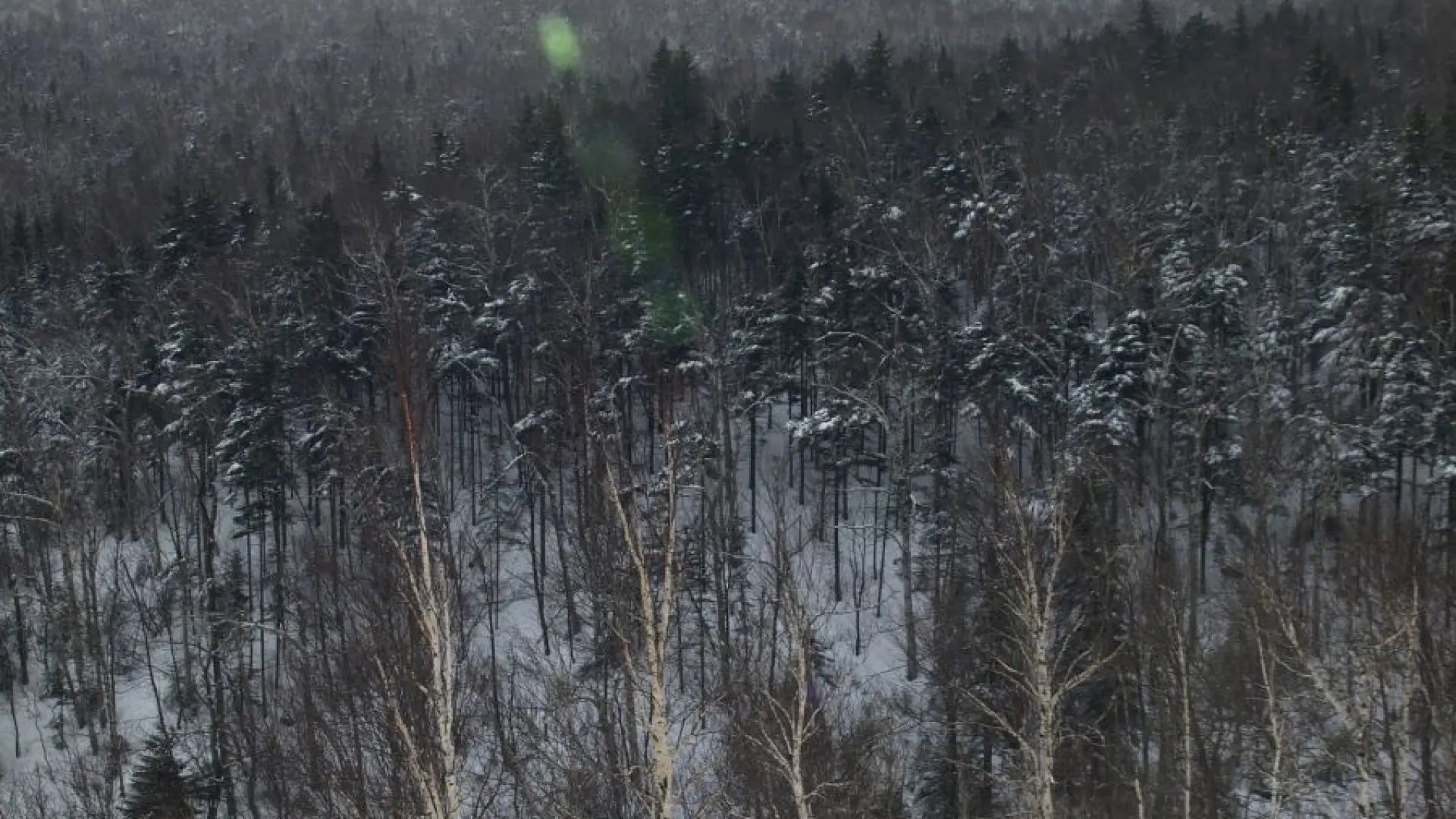 On the steep slopes